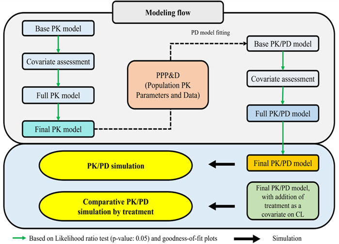 Flowchart illustrating pharmacokinetic (PK) and pharmacodynamic (PD) modeling processes. It shows two main sequences: one for PK model leading to a final PK model, and another for PK/PD model leading to a final PK/PD model. Both utilize covariate assessment and base models, incorporate Population PK Parameters and Data (PPP&D), and proceed with PK/PD simulation and comparative simulation by treatment. Arrows indicate model progression based on likelihood ratio tests and simulations.