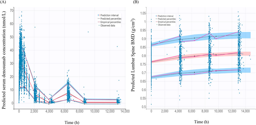 Panel A shows a graph of predicted serum denosumab concentration in nmol/L over time in hours. It includes prediction intervals, predicted percentiles, empirical percentiles, and observed data. Panel B displays a graph of predicted lumbar spine BMD in grams per square centimeter over the same time period, with similar data representations. Both graphs use colored lines for percentiles and scatter plots for observed data.