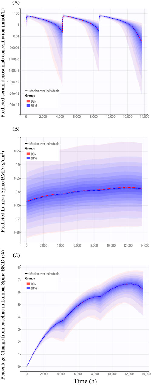 Graph A shows predicted serum denosumab concentration over time, with distinct downward trends and periodic peaks for groups DEN (red) and SB16 (blue). Graph B illustrates predicted lumbar spine BMD, revealing a gradual upward trend. Graph C displays percentage change in lumbar spine BMD, showing an increase over time, with both groups following similar trends throughout the 14,000-hour period. Dashed lines represent median values, and shaded areas indicate variability.