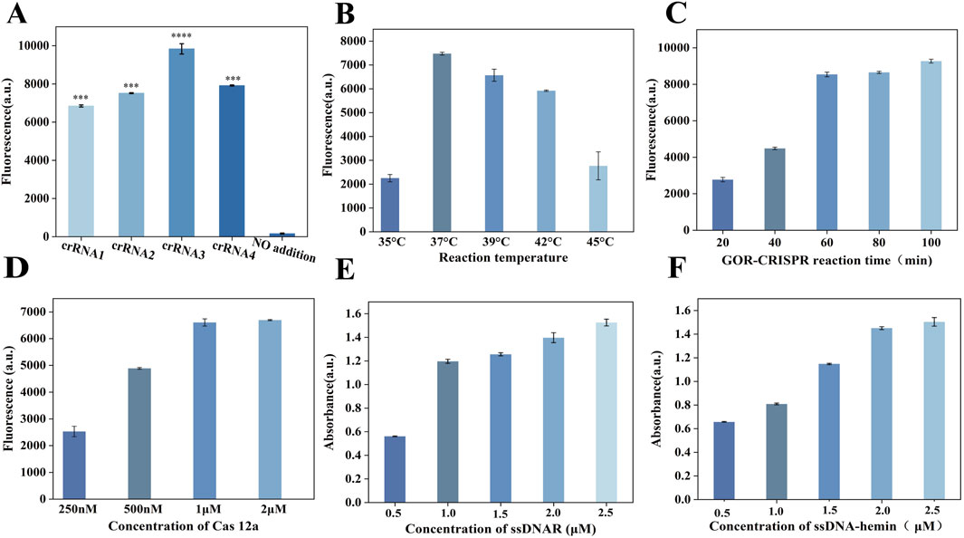 Six-panel chart showing various experimental conditions affecting fluorescence and absorbance. Panel A compares crRNA types 1 to 4 and shows highest fluorescence for crRNA3. Panel B examines temperature effects, with 39°C yielding peak fluorescence. Panel C displays increasing fluorescence over 100 minutes. Panel D evaluates Cas 12a concentrations, with 2 μM producing the highest fluorescence. Panel E illustrates increasing absorbance with higher ssDNAR concentrations. Panel F shows increasing absorbance with higher ssDNA-hemin concentrations. Error bars indicate variability.