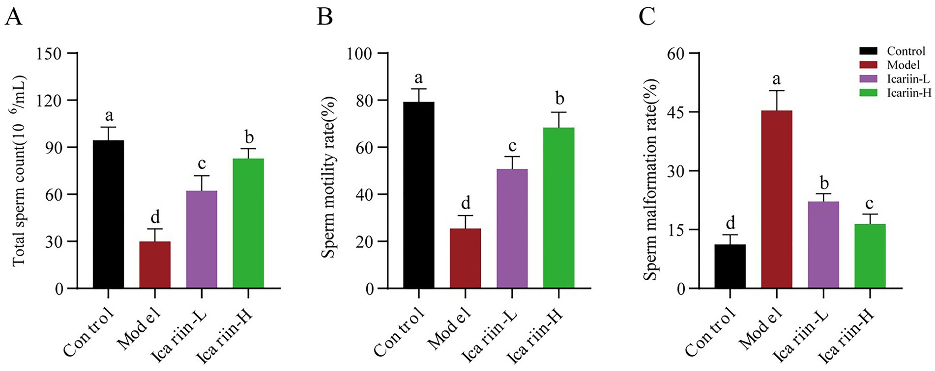 Bar graphs labeled A, B, and C compare the effects on sperm parameters among four groups: Control, Model, Icariin-L, and Icariin-H. Graph A shows total sperm count, with the Control group highest and Model lowest. Graph B presents sperm motility rate, with a similar trend. Graph C depicts sperm malformation rate, with the Model group highest and Control lowest. Each group is color-coded: Control (black), Model (red), Icariin-L (purple), Icariin-H (green), with error bars indicating standard deviations.