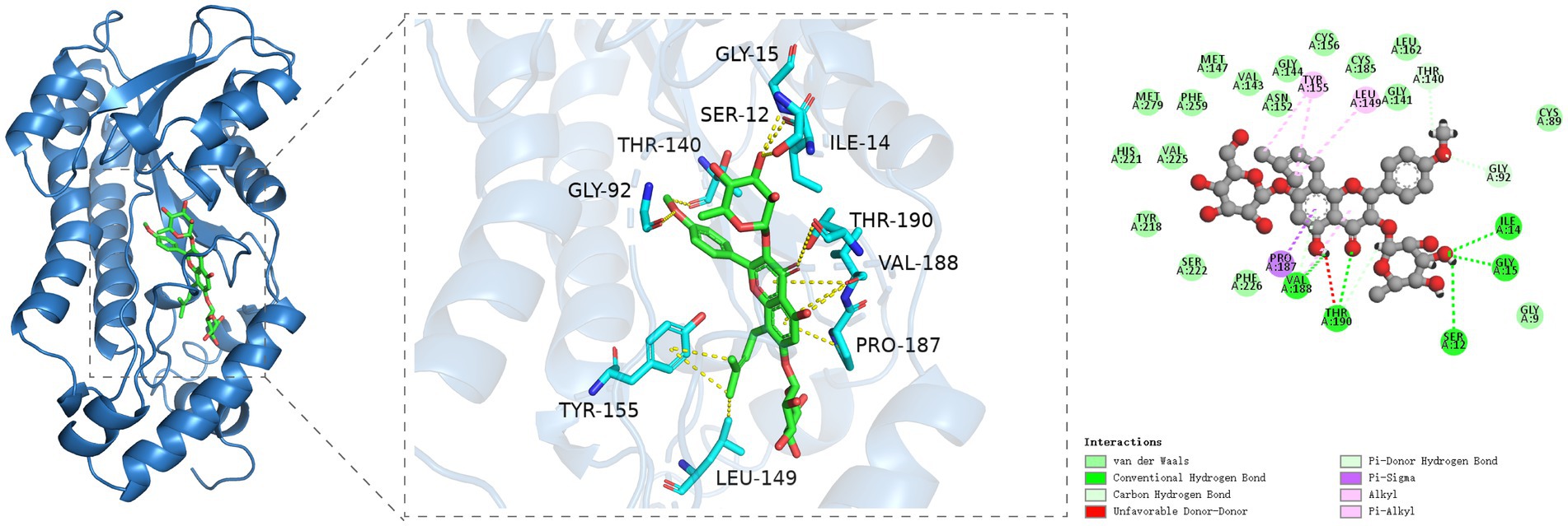 Protein structure depiction in three sections: a blue ribbon diagram of the protein with a green-highlighted ligand, a zoomed-in view showing detailed interactions with labeled amino acids and color-coded bonds, and a two-dimensional schematic illustrating various interactions between the ligand and amino acids, indicated by different colored lines.