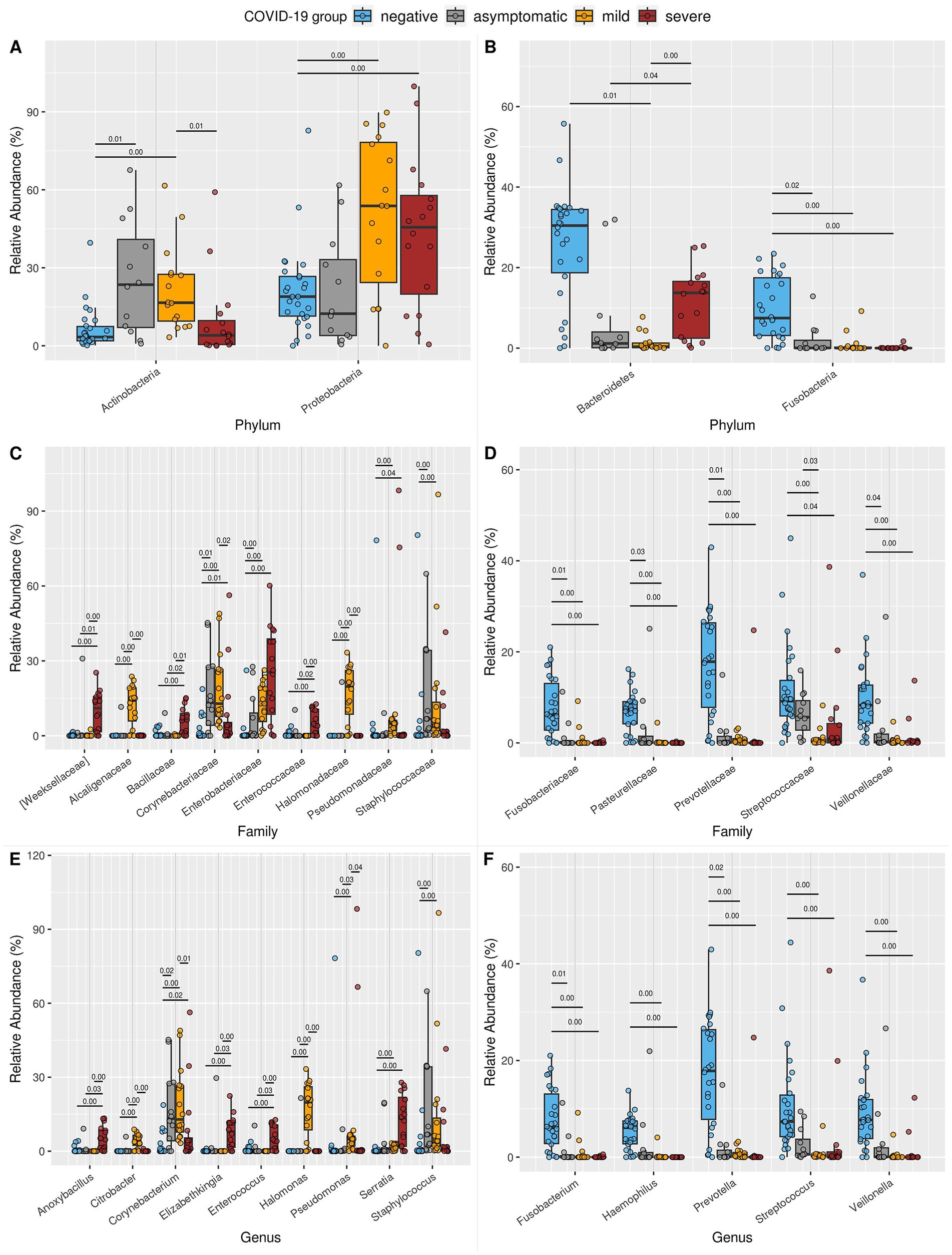 Box-and-whisker plots comparing the relative abundance of bacterial taxa among COVID-19 groups. Panels A and B show data at the phylum level for Actinobacteria, Proteobacteria, Bacteroidetes, and Fusobacteria. Panels C and D present family-level data. Panels E and F depict genus-level differences. Groups are distinguished as negative, asymptomatic, mild, and severe, with noted p-values indicating statistical significance.