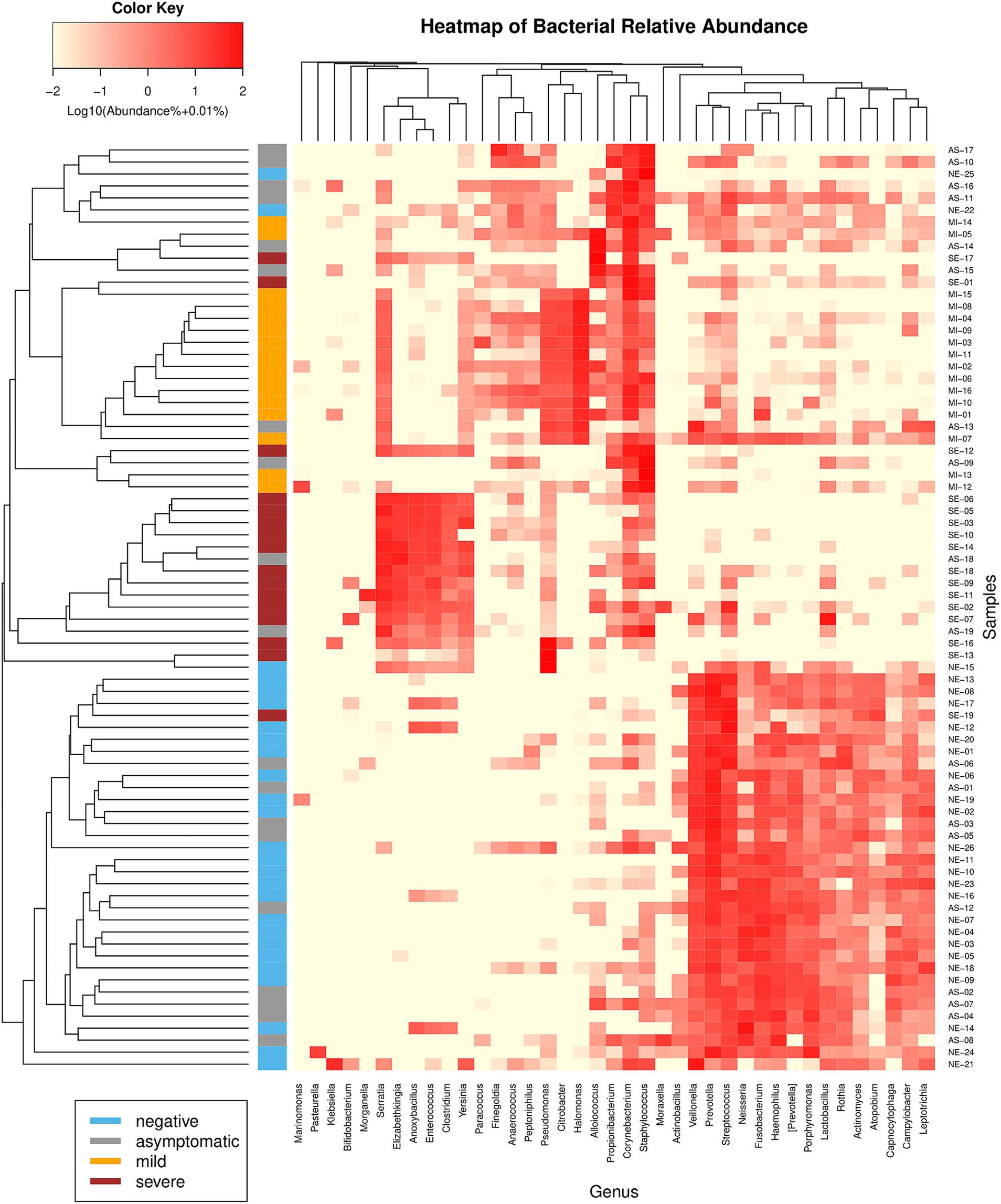 Heatmap of bacterial relative abundance with a color gradient from light yellow (low abundance) to red (high abundance). Samples are clustered vertically and genuses horizontally. A side legend indicates categories: negative, asymptomatic, mild, and severe. Dendrograms illustrate sample relationships.