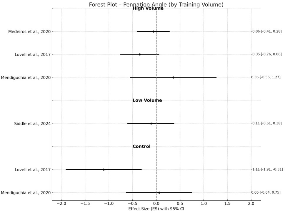 Forest plot showing pennation angle effect size by training volume from various studies. High volume group includes Medeiros et al., 2020, Lovell et al., 2017, and Mendiguchia et al., 2020. Low volume group includes Siddle et al., 2024. Control group includes Lovell et al., 2017, and Mendiguchia et al., 2020. Effect sizes range from -1.11 to 0.36 with respective confidence intervals.