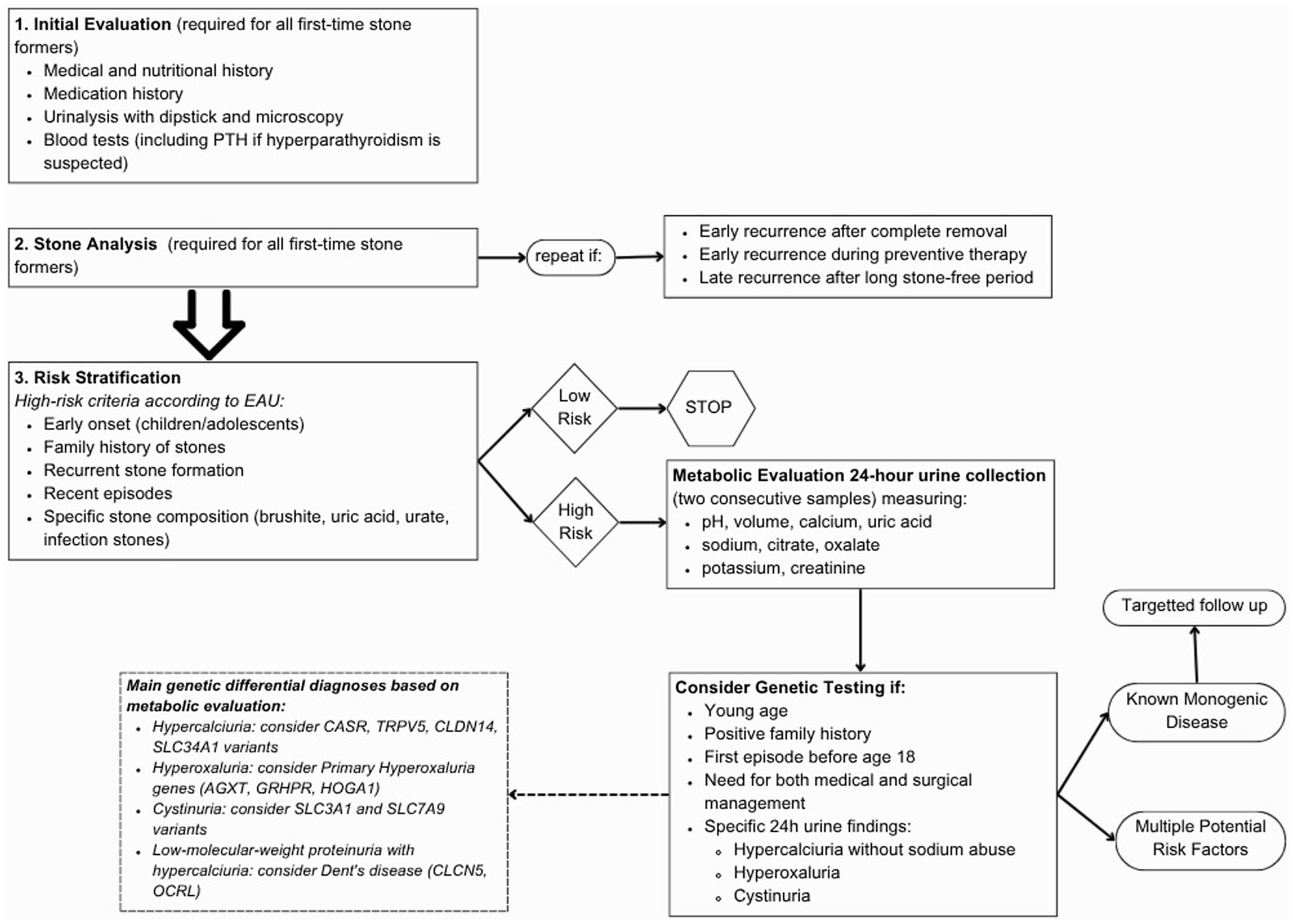 Flowchart for stone management begins with initial evaluation for first-time stone formers: medical history, medication history, urinalysis, and blood tests. Stone analysis is repeated for early, preventive, or late recurrence. Risk stratification follows EAU high-risk criteria: early onset, family history, recurrent stones, recent episodes, specific stone composition. Low-risk individuals stop; high-risk undergo metabolic evaluation with 24-hour urine collection measuring pH, volume, calcium, uric acid, among others. Genetic testing is considered if young age, family history, early onset, combined management requirement, or specific urine findings. Outcomes dictate targeted follow-up for known monogenic disease or multiple risk factors.