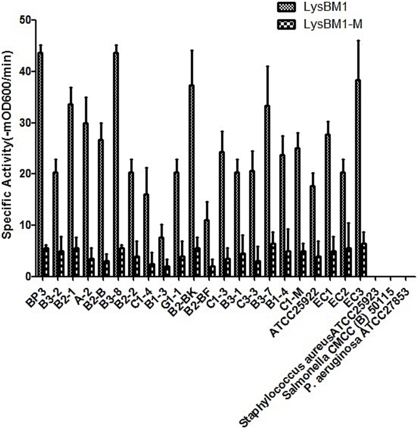 Bar graph comparing the specific activity of LysBM1 and LysBM1-M across various strains represented on the x-axis. Specific activity is measured in milli-OD600 per minute on the y-axis, ranging from 0 to 50. Bars for LysBM1 are filled, while LysBM1-M bars are striped.