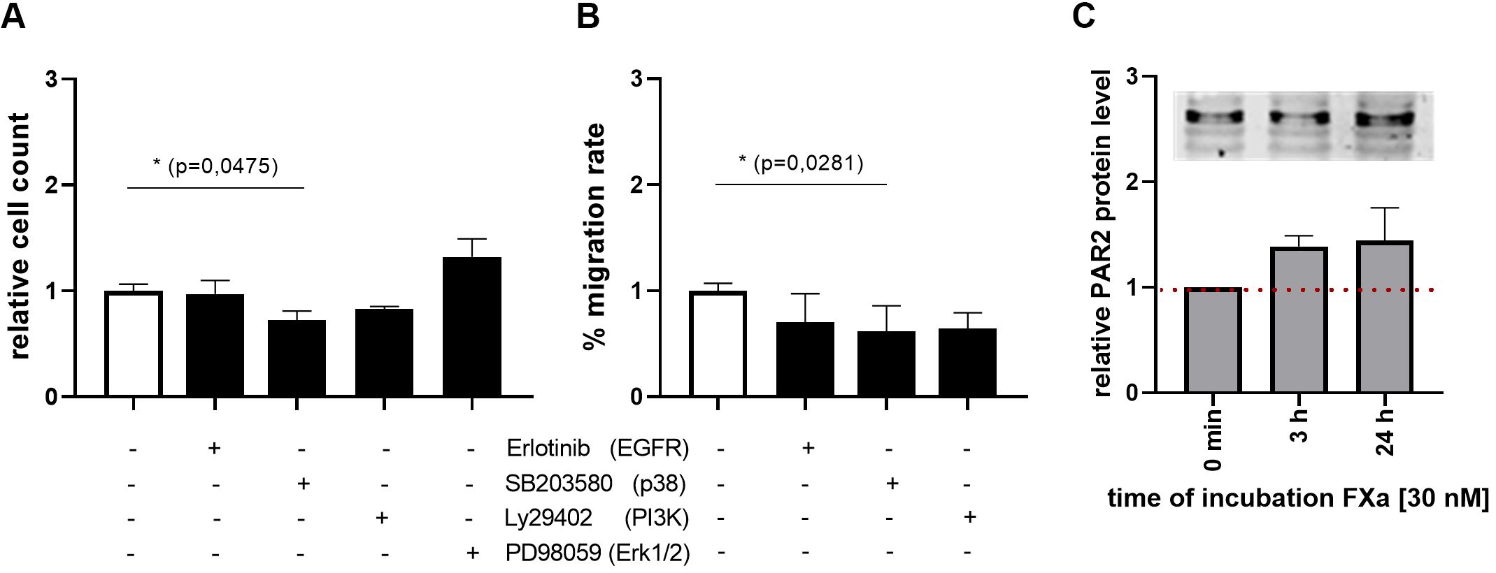 Bar graphs labeled K, L, and M depict experimental results. Graph K shows relative cell count with a p-value of 0.0475. Graph L displays percentage migration rate with a p-value of 0.0281. Graph M indicates relative PAR2 protein levels over time with a dotted red line at 1 and images of protein bands above. Bars represent different experimental conditions with variables like Erlotinib, SB203580, Ly294002, PD98059, and varied incubation times for FXa at 30 nanomolar. Error bars suggest variability in the data.