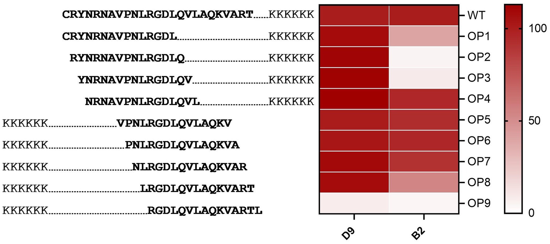 Sequences of amino acids with a corresponding heat map. The sequences differ slightly among the variants labeled WT, OP1 through OP9. The heat map next to each sequence represents data values for D9 and B2, with a gradient from light to dark red. A color scale indicates values from zero to one hundred.