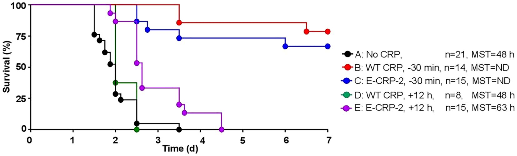 Kaplan-Meier survival curve showing different groups over seven days. Groups include A: No CRP, B: WT CRP at -30 minutes, C: E-CRP-2 at -30 minutes, D: WT CRP at +12 hours, and E: E-CRP-2 at +12 hours. Survival percentages vary, with B and C maintaining 100% survival throughout, A and D ending at zero percent, and E showing an extended survival. MST indicates median survival time.