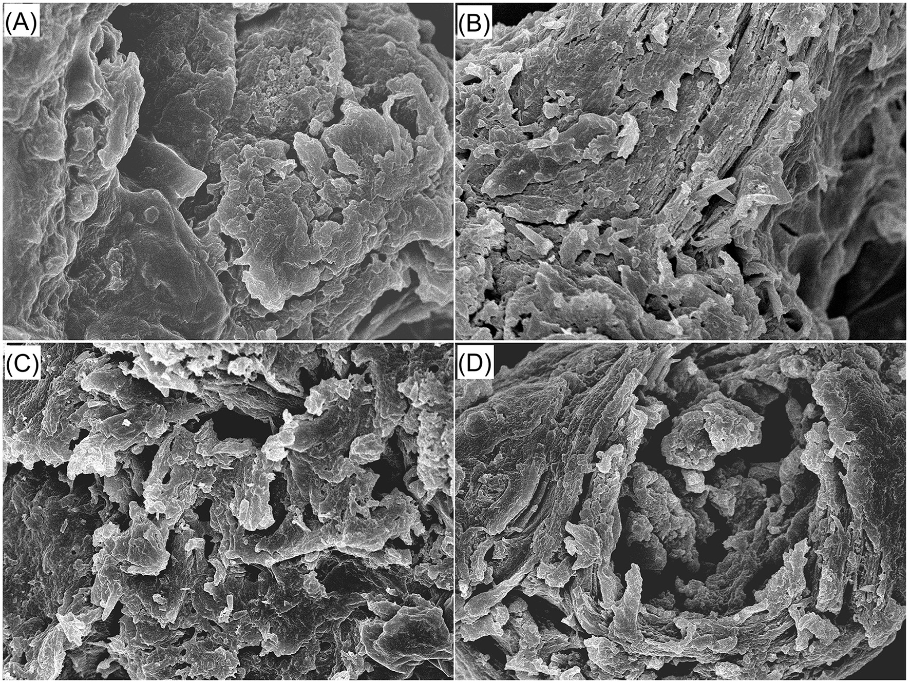 Four-panel image showing scanning electron microscope (SEM) images of carbon materials labeled A to D. Each panel displays varying microstructures with complex surfaces and textures, highlighting differences in porosity and layering across samples.