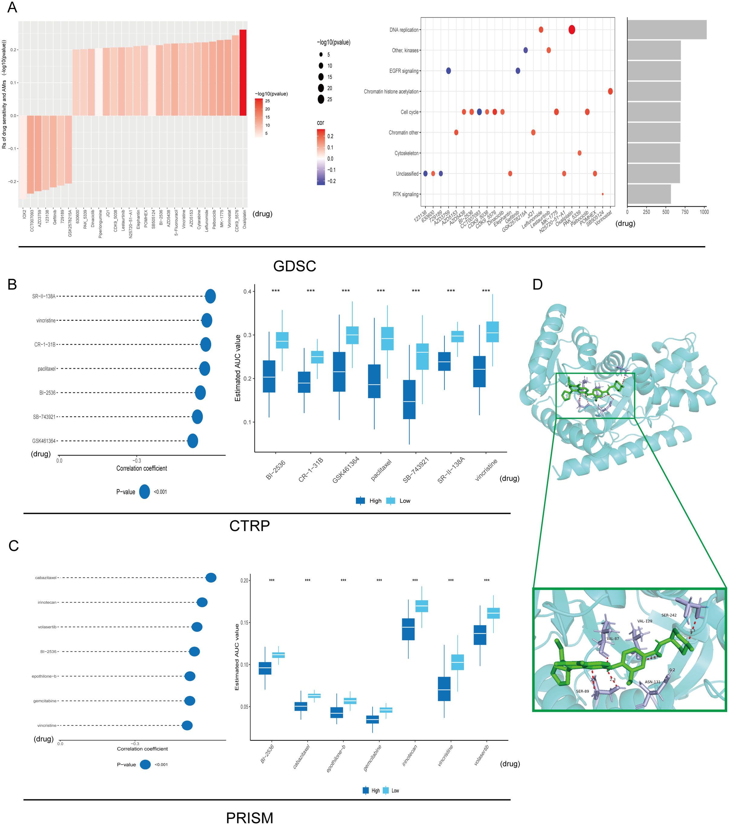 Panel A displays three graphs: a bar chart depicting log P values; a scatter plot of various processes with color-coded correlation coefficients; and a horizontal bar chart of data comparisons. Panel B shows GDSC results with a bubble chart of correlation coefficients and a box plot for estimated AUC values across different drugs. Panel C presents CTRP and PRISM results similarly structured to Panel B. Panel D illustrates a molecular structure with a highlighted binding site, including a detailed inset of interactions.
