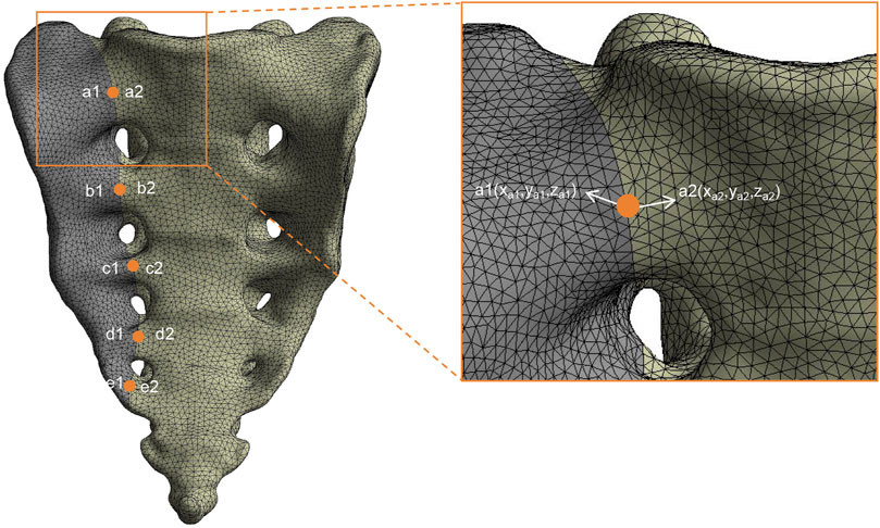 A 3D mesh model of a sacrum bone with labeled points a1, a2, b1, b2, c1, c2, d1, d2, e1, and e2 marked with orange dots. An inset zooms in on points a1 and a2, showing their coordinates as (Xa1, Ya1, Za1) and (Xa2, Ya2, Za2). The bone surface is covered in a triangular mesh pattern, highlighting the detailed structure.