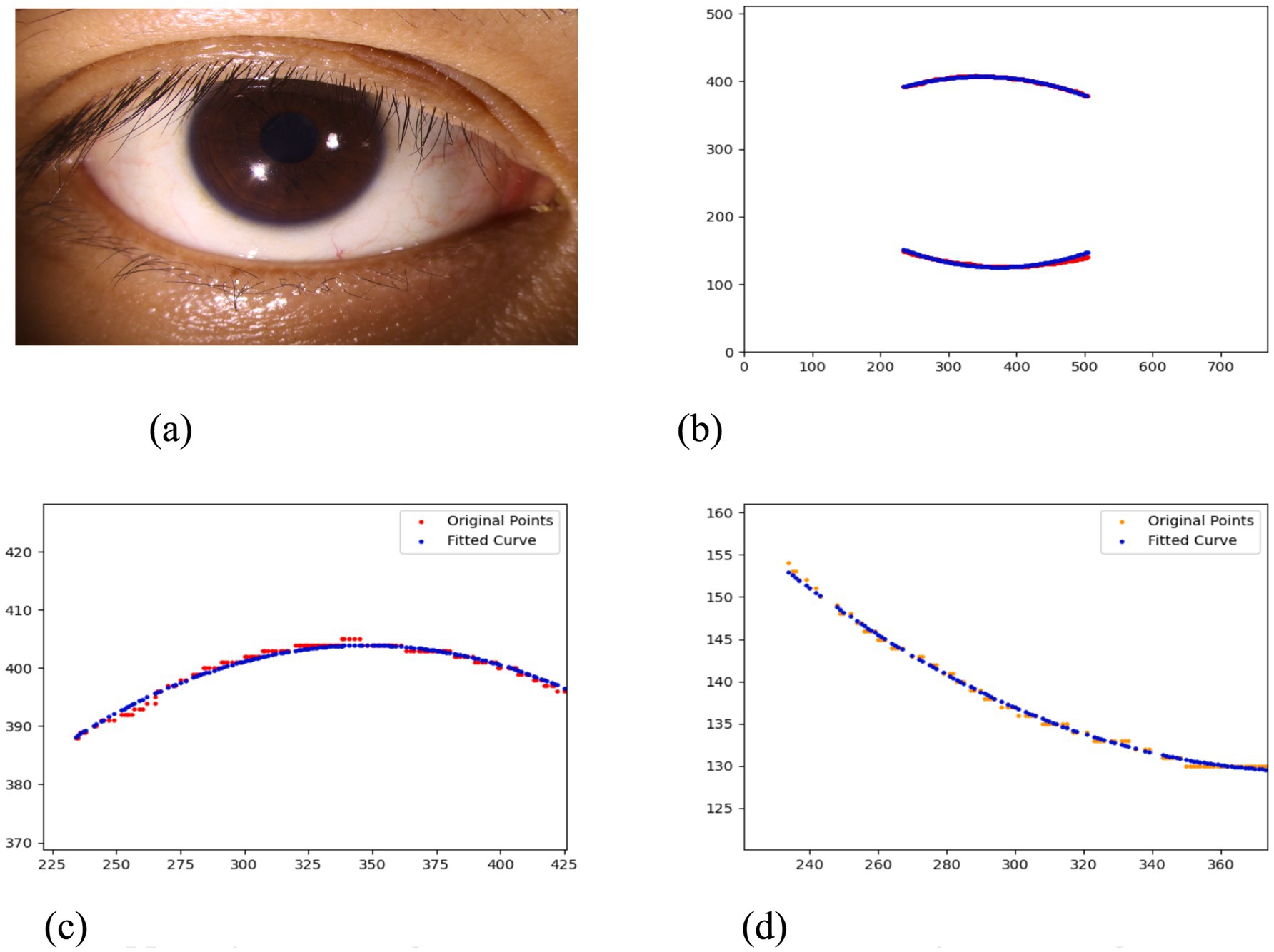 (a) Close-up of a human eye showing iris and surrounding details. (b) Graph with two curves, original points in red and fitted curve in blue. (c) Zoomed graph section with original and fitted points, showing a curve. (d) Another detailed graph section with original and fitted curve points depicting a downward slope.