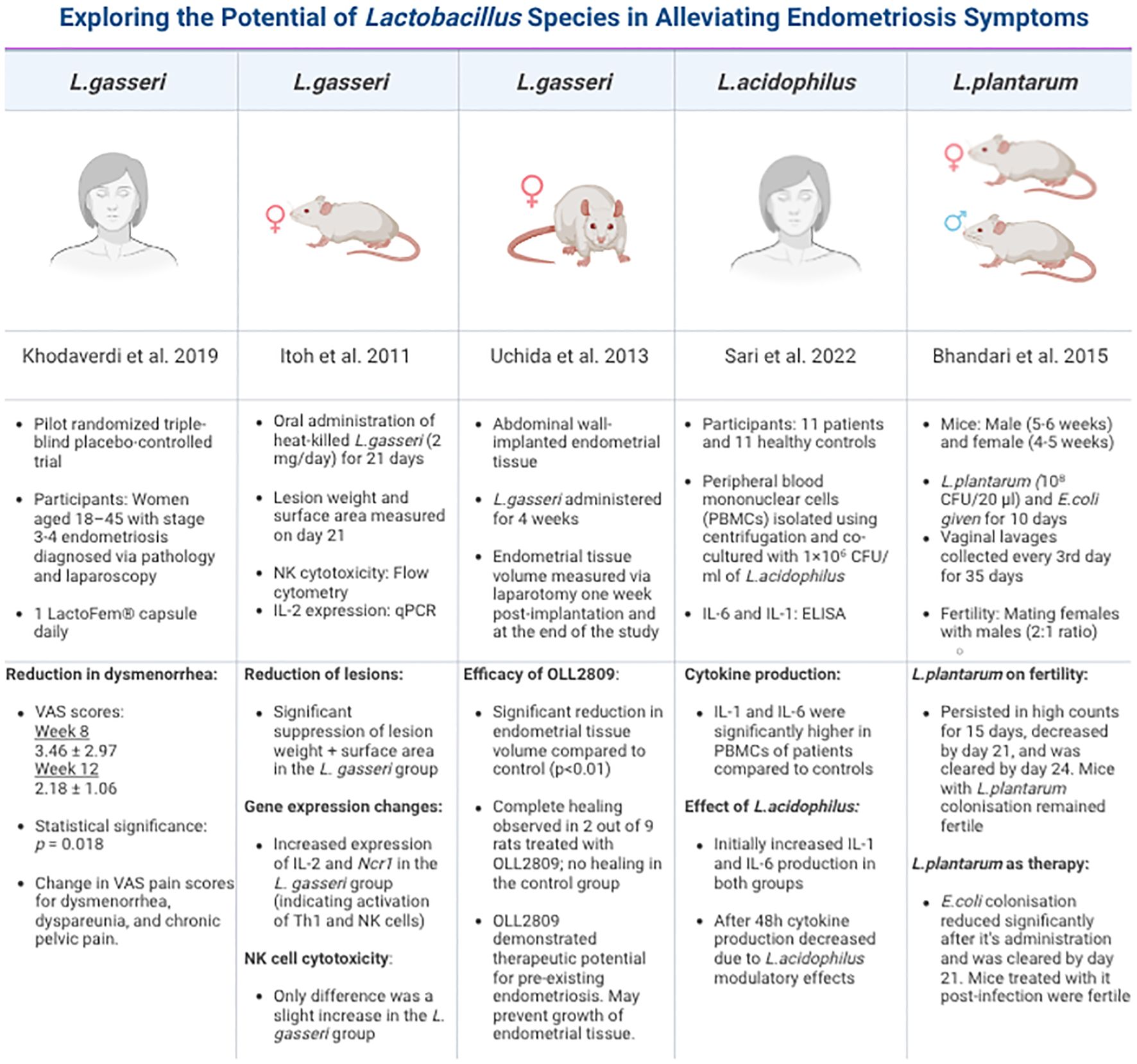 Comparison chart exploring the potential of various Lactobacillus species in alleviating endometriosis symptoms. Five studies are highlighted, each involving different Lactobacillus strains: L. gasseri, L. acidophilus, and L. plantarum. Each column outlines the study's focus, methodology, and findings, such as effects on dysmenorrhea, lesion reduction, cytokine production, and fertility. The chart includes illustrations of mice and human figures, representing subjects in the studies. Key outcomes include lesion weight reduction, endometrial tissue response, and fertility impacts.
