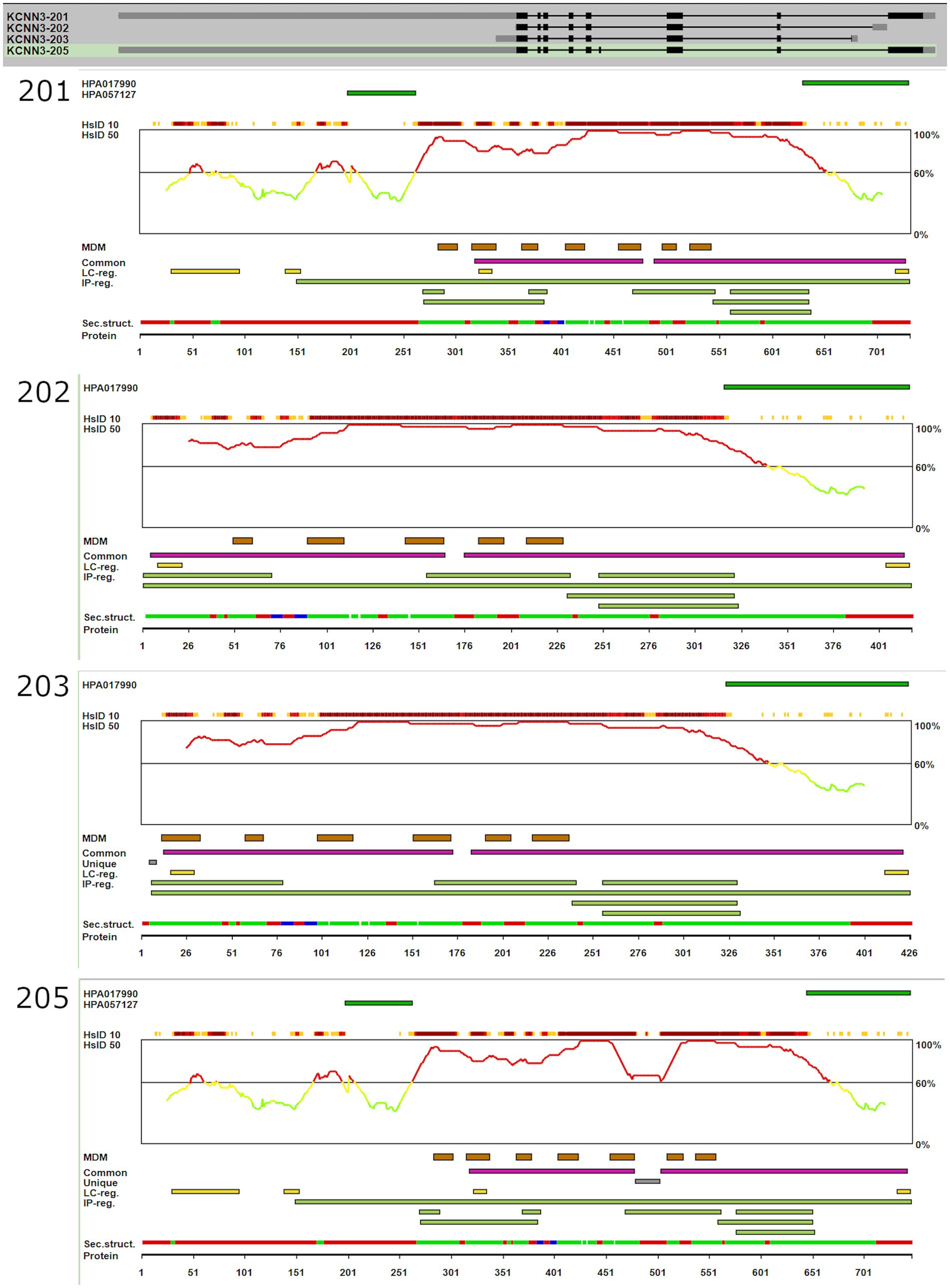 Protein structure diagram for KCNN3 shows isoforms 201, 202, 203, and 205. Each isoform's data is plotted with secondary structure, common domains, and specific variations in graphical form, including protein sequence information.