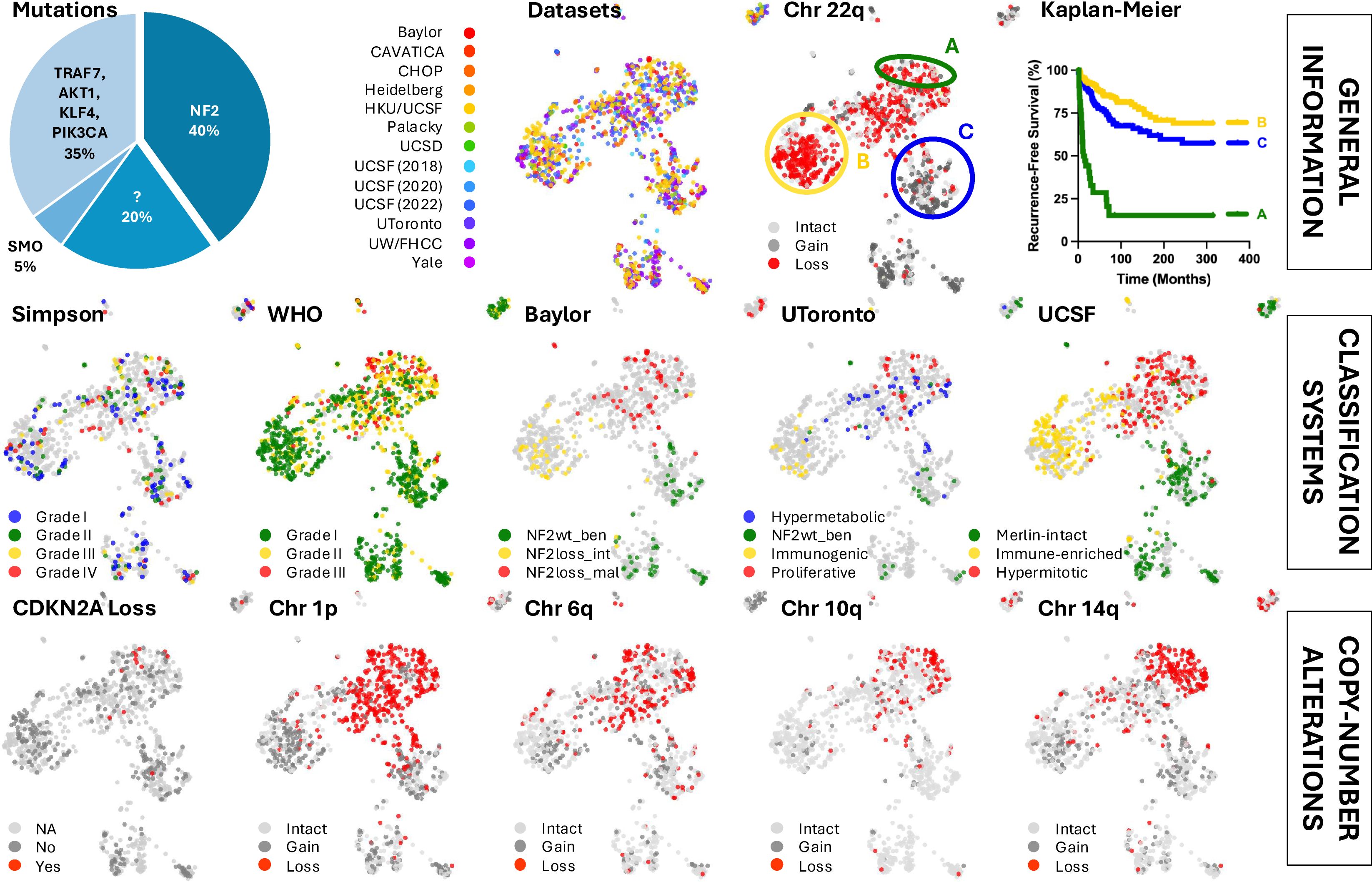 A multi-panel scientific graphic depicting recurrence-free survival analysis and genetic data. The top left shows a pie chart of mutations: NF2 (40%), TRAF7, AKT1, KLF4, PIK3CA (35%), unknown (20%), and SMO (5%). Various datasets are color-coded. The Chr 22q panel indicates genetic alterations marked as intact, gain, or loss. The Kaplan-Meier plot shows survival curves labeled A, B, C. Several classification systems (Simpson, WHO, Baylor, UToronto, UCSF) and copy-number alterations (CDKN2A Loss, Chr 1p, 6q, 10q, 14q) are also represented, using color codes to denote different categories and alterations.