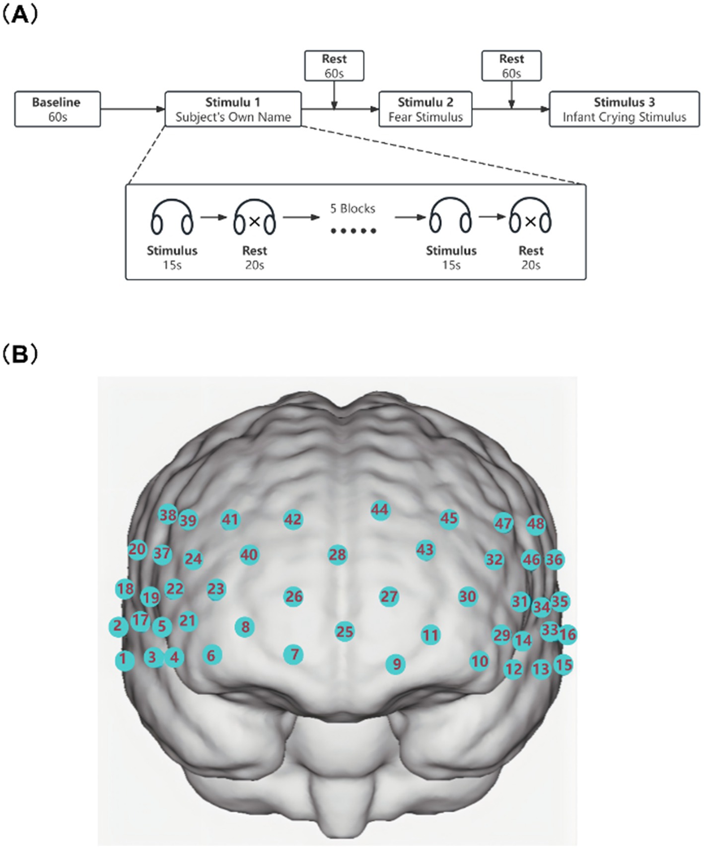 Diagram (A) depicts a study design with a baseline period followed by three stimuli: subject’s own name, fear stimulus, and infant crying stimulus, each separated by rest intervals, repeated over five blocks. Diagram (B) shows a top view of a brain model with numbered locations marked on the scalp, representing the near-infrared channel numbers for data collection.
