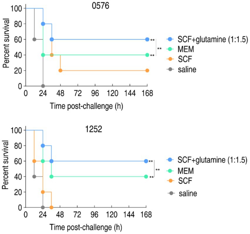Two line graphs display percent survival over time post-challenge (hours), comparing different treatments. The top graph (0576) and the bottom graph (1252) both show SCF+glutamine with the highest survival, followed by MEM, SCF, and saline. Statistical significance is indicated for SCF+glutamine and MEM with double asterisks.