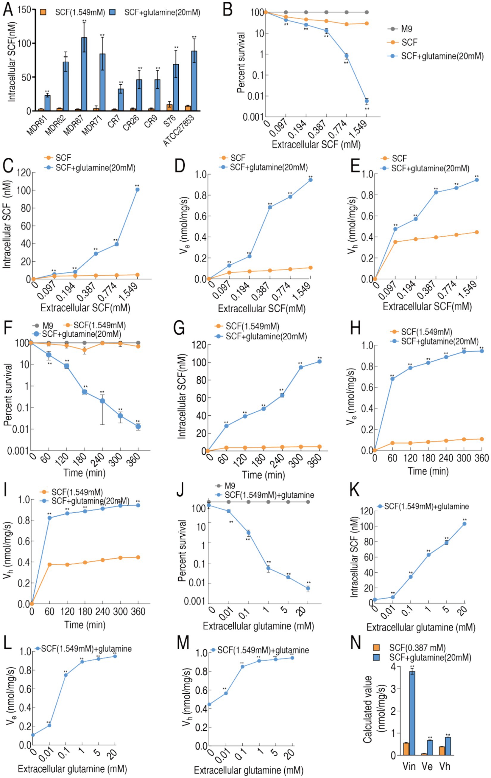 Composite image illustrating multiple line and bar graphs analyzing the effects of SCF and SCF with glutamine on various cellular metrics. Graph A shows intracellular SCF levels across different cell lines. Graph B measures percent survival against extracellular SCF concentrations. Graphs C to E depict intracellular SCF, \(V_e\), and \(V_h\) variations with extracellular SCF. Graphs F to I assess similar metrics over time. Graphs J to M analyze the impact of extracellular glutamine on survival, intracellular SCF, \(V_e\), and \(V_h\). Graph N presents calculated values of \(V_{in}\), \(V_e\), and \(V_h\) under specific conditions. Data comparisons are highlighted with statistical significance.