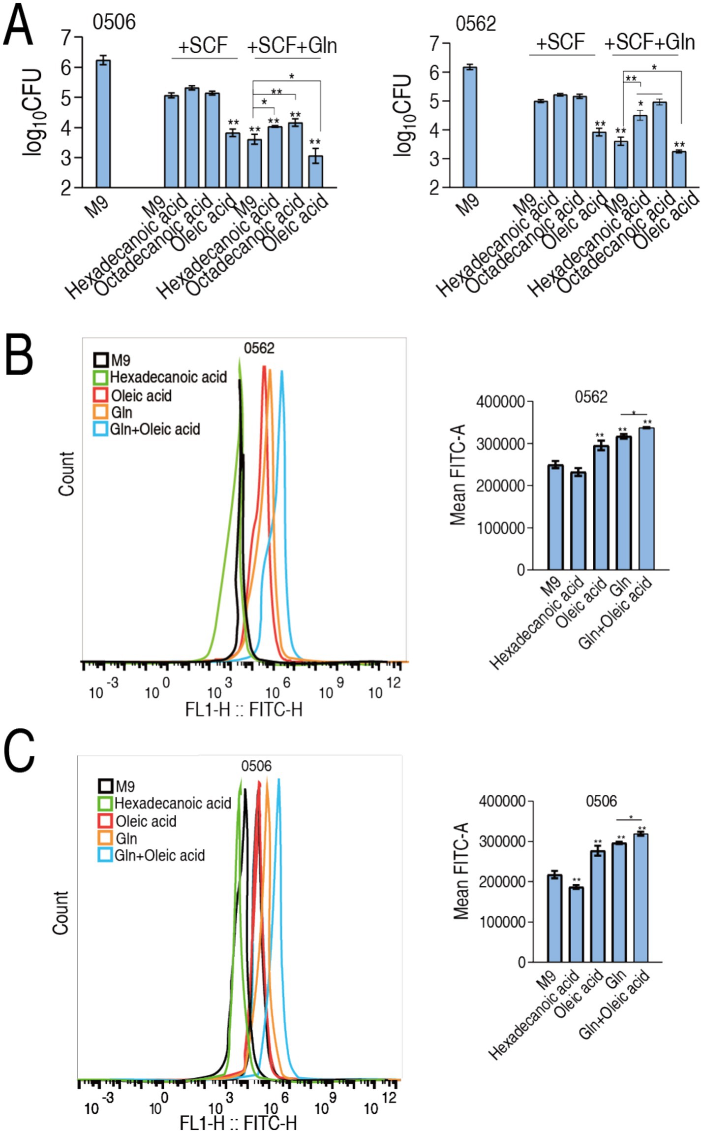 Panel A shows bar graphs displaying colony-forming units (CFU) on a logarithmic scale for strains 0506 and 0562 under various conditions, with significant differences marked by asterisks. Panel B presents a flow cytometry histogram and a bar graph for strain 0562 showing fluorescence intensity with different treatments. Panel C shows similar data for strain 0506, including a flow cytometry histogram and corresponding bar graph. Labels indicate the conditions: M9, Hexadecanoic acid, Oleic acid, Gln, and Gln plus Oleic acid.