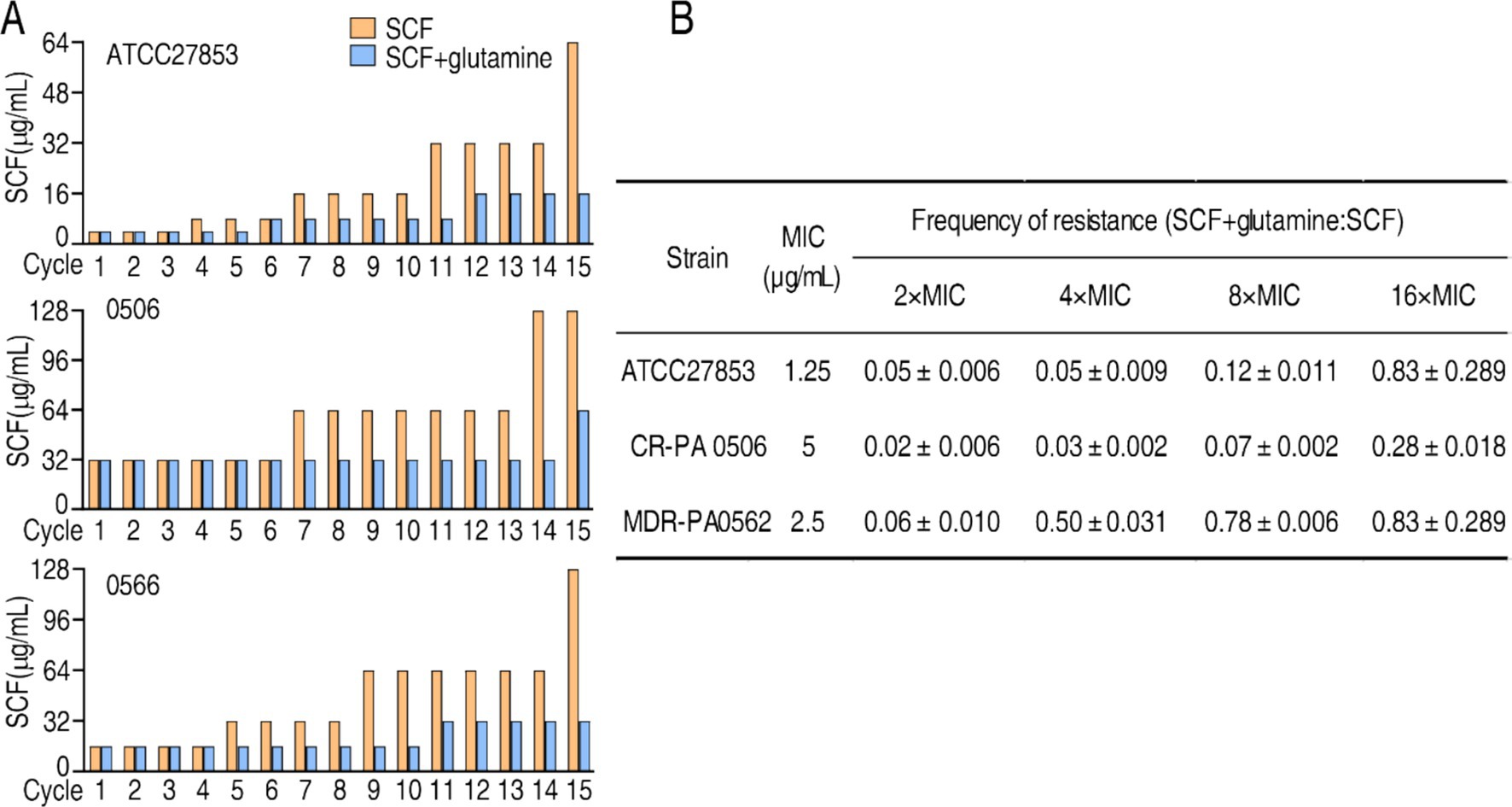 Graphs and a table comparing the impact of SCF (in orange) and SCF with glutamine (in blue) on three bacterial strains over 15 cycles. Graphs show SCF concentration in micrograms per milliliter, with orange bars consistently higher than blue. The table lists strains with their MIC in micrograms per milliliter and frequency of resistance (SCF with glutamine to SCF) at different MIC multiples. ATCC27853 has an MIC of 1.25, CR-PA 0506 has 5, and MDR-PA0562 has 2.5. Resistance frequencies vary across strains and MIC multiples.