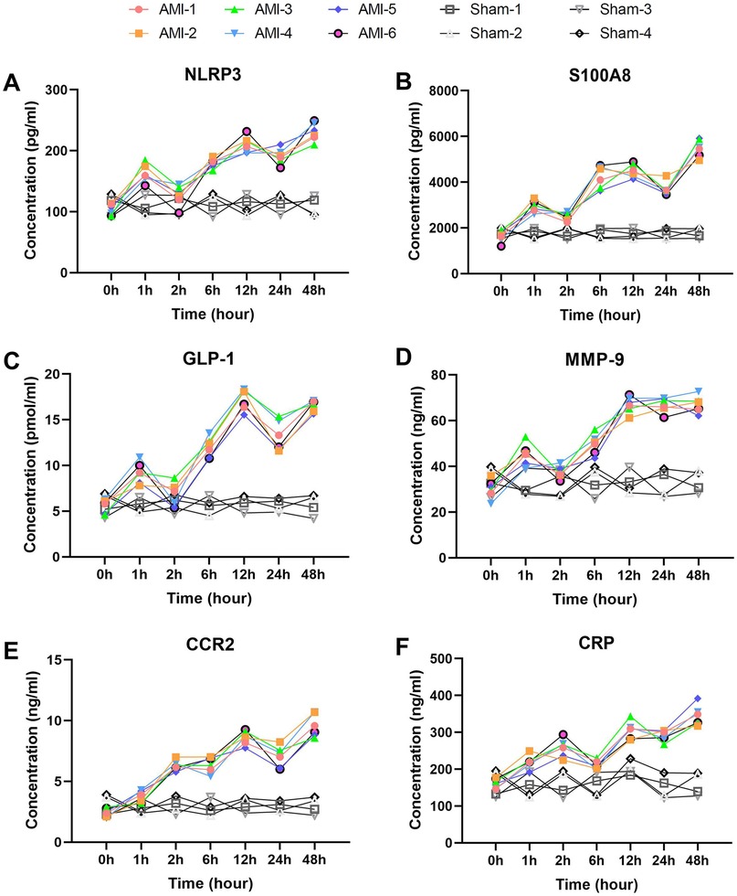 Graphs showing concentration levels over time for six different molecules: NLRP3, S100A8, GLP-1, MMP-9, CCR2, and CRP. Each panel (A-F) compares groups AMI-1 to AMI-6 with Sham-1 to Sham-4 across time points 0 to 48 hours. AMI groups generally show higher concentration levels compared to Sham groups, with variations across different molecules and time points.