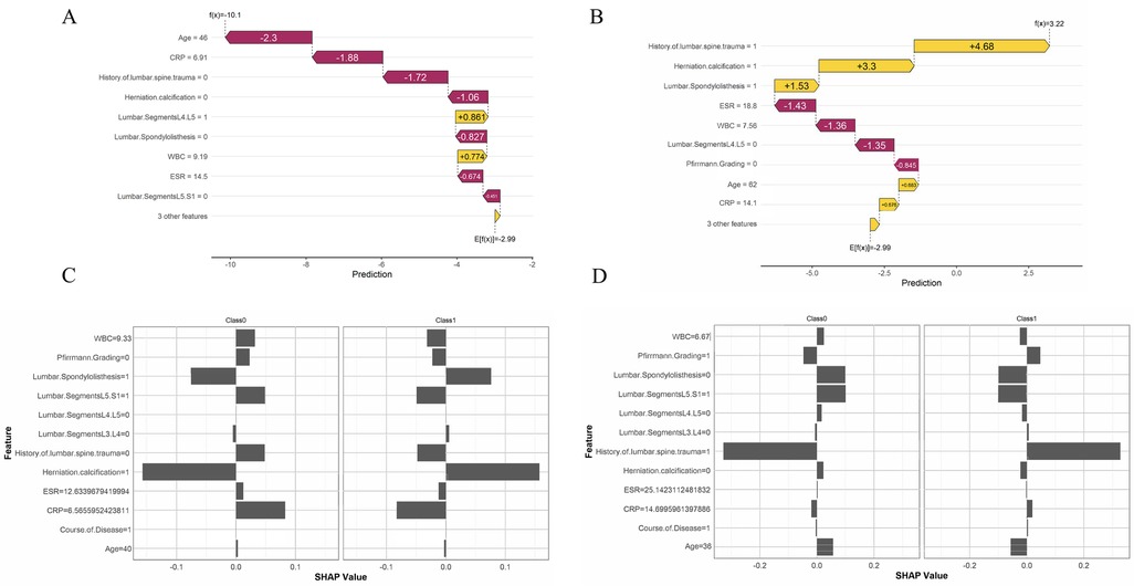 Panel A shows a waterfall chart with patient features affecting a prediction score. Age decreases the prediction significantly, while lumbar segments slightly increase it. Panel B displays another waterfall chart where lumbar spine trauma and spondylolisthesis increase the prediction. Panels C and D depict bar charts of SHAP values, illustrating the impact of various medical features on two classes. Panel C shows more negative SHAP values for Class 0 while Panel D shows prominent positive SHAP for lumbar segments in Class 1.