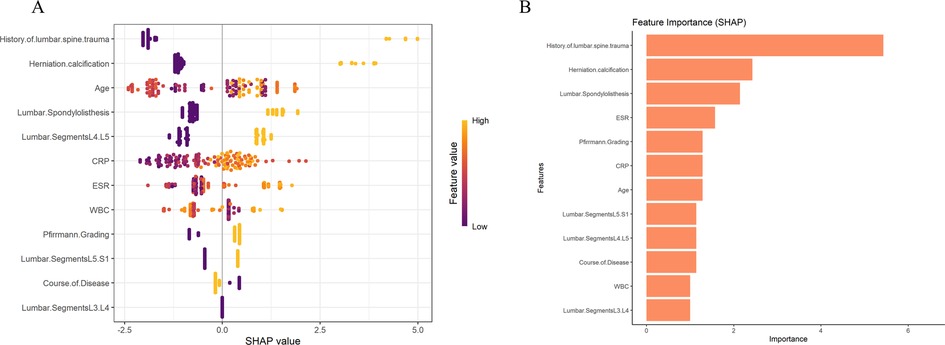 Panel A shows a scatter plot of SHAP values for features related to lumbar spine conditions, with color indicating feature value from low (purple) to high (yellow). Panel B displays a bar chart of feature importance, highlighting history of lumbar spine trauma and herniation calcification as most influential.