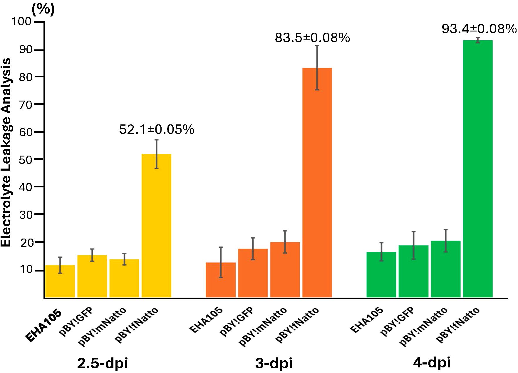 Bar chart showing electrolyte leakage analysis for different samples (EHA105, pBY:GFP, pBY:mNatto, pBY:fNatto) at 2.5, 3, and 4 dpi. At 2.5 dpi, pBY:fNatto shows the highest leakage at 52.1%. At 3 dpi, it increases to 83.5%, and at 4 dpi, it reaches 93.4%. Other samples display significantly lower percentages with error bars indicating variability.