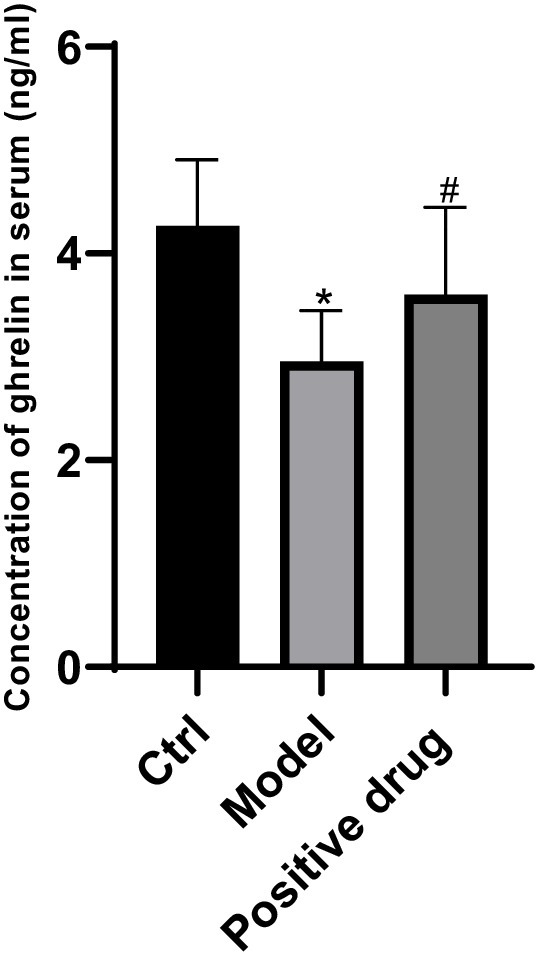 Bar graph showing serum ghrelin concentration in ng/ml for three groups: Ctrl (~4.5), Model (~3), and Positive drug (~3.5). Error bars indicate variability. Asterisks denote statistical significance.