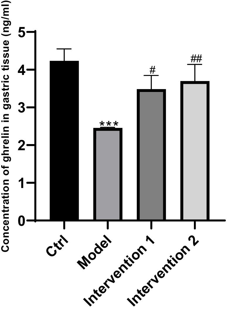 Bar chart showing the concentration of ghrelin in gastric tissue (ng/ml) across four groups: Ctrl (~4.5), Model (~2.5 with ***), Intervention 1 (~3.5 with #), and Intervention 2 (~4 with ##). Error bars represent variability.