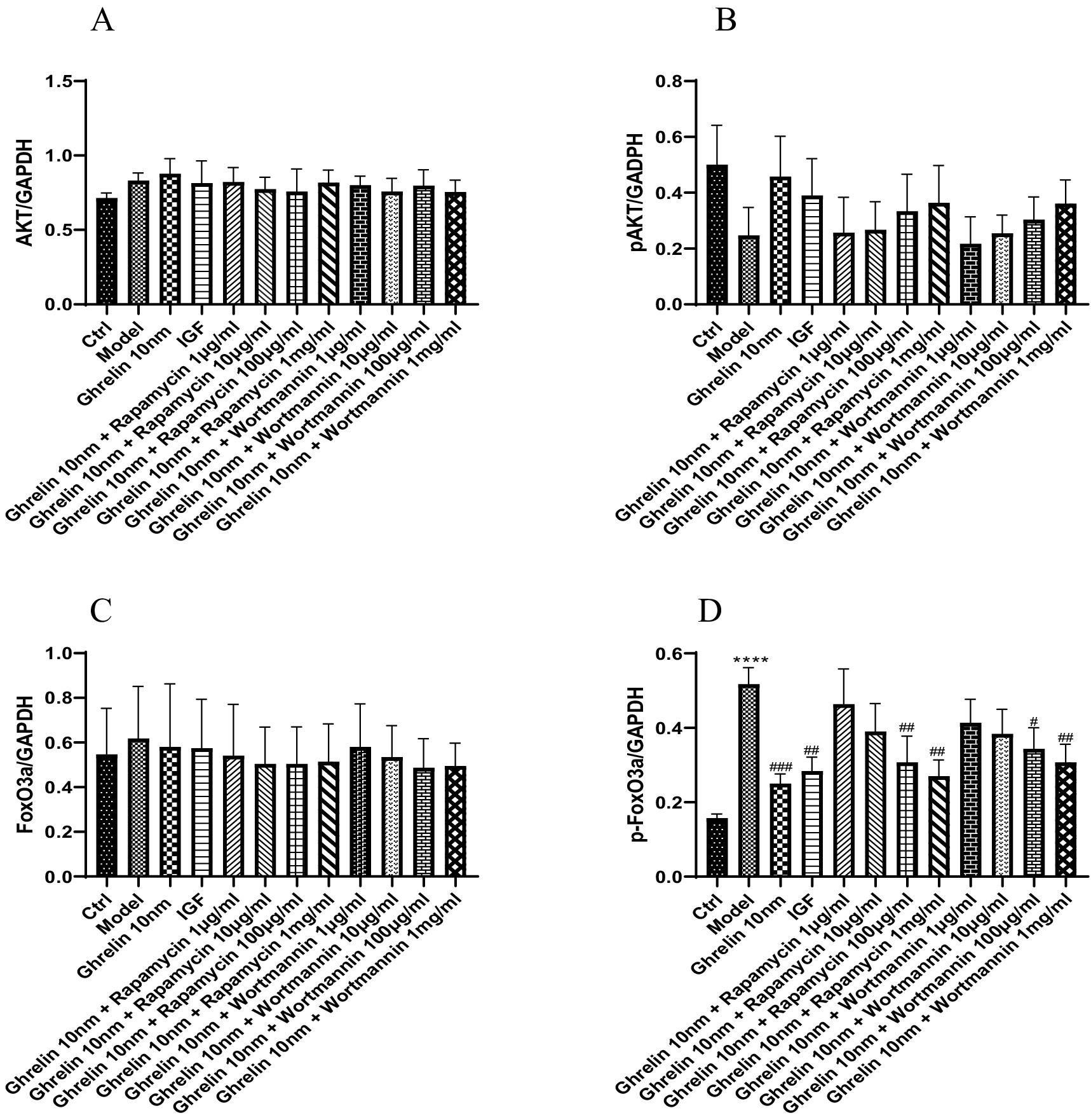Bar graphs labeled A, B, C, and D show protein expression levels measured as a ratio to GAPDH. Each graph presents data for different treatments including ghrelin and inhibitors like rapamycin and wortmannin in varying concentrations. Error bars denote standard deviation, and asterisks or hashes indicate statistical significance.
