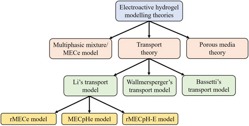 Flowchart of electroactive hydrogel modeling theories. It starts with three branches: Multiphase mixture/MECe model, Transport theory, and Porous media theory. Under Transport theory, three models are listed: Li's transport model (leading to rMECe, MECpHe, and rMECpH-E models), Wallmersperger’s transport model, and Bassetti’s transport model.