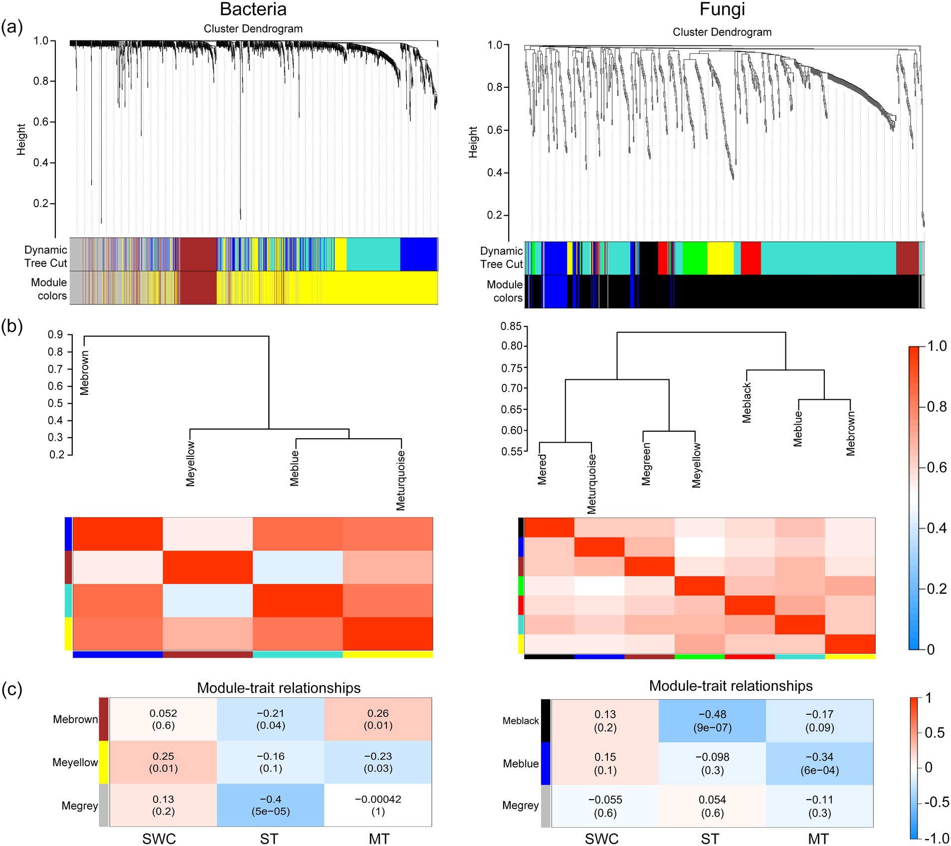 Hierarchical cluster dendrograms and heatmaps depict relationships in bacteria and fungi data. The top row shows dendrograms with dynamic tree cuts and module colors. The middle row displays corresponding heatmaps. The bottom row presents module-trait relationships with numerical values for SWC, ST, and MT, using a color gradient from blue to red.