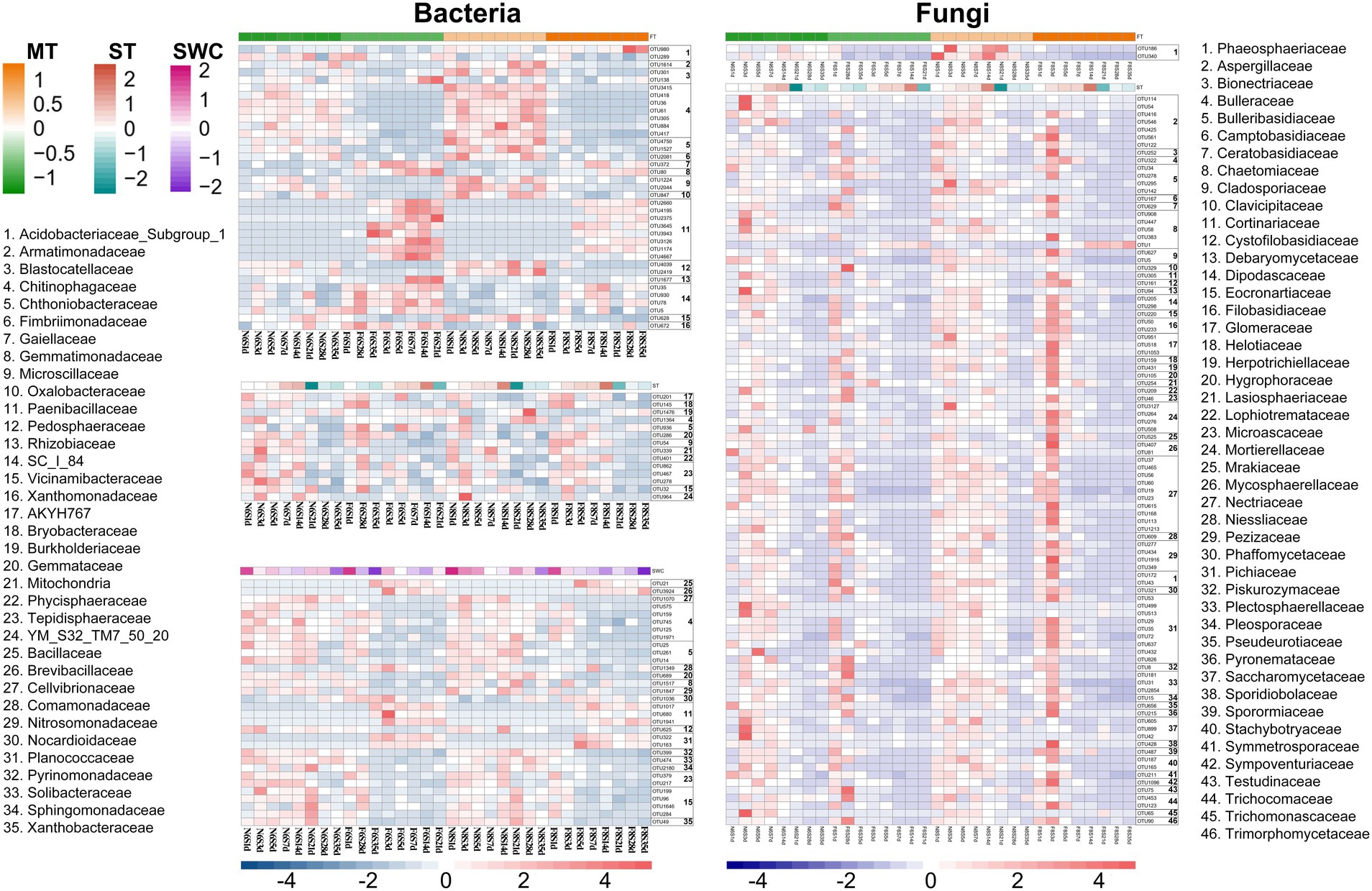 Heatmap showing bacterial and fungal taxonomic abundance across different samples. Left side displays bacteria from 35 families, right shows fungi from 46 families. Scale indicates abundance from -4 to 4, with varying colors representing different levels. MT, ST, and SWC conditions are color-coded at the top. Samples labeled PDW and others are at the bottom.