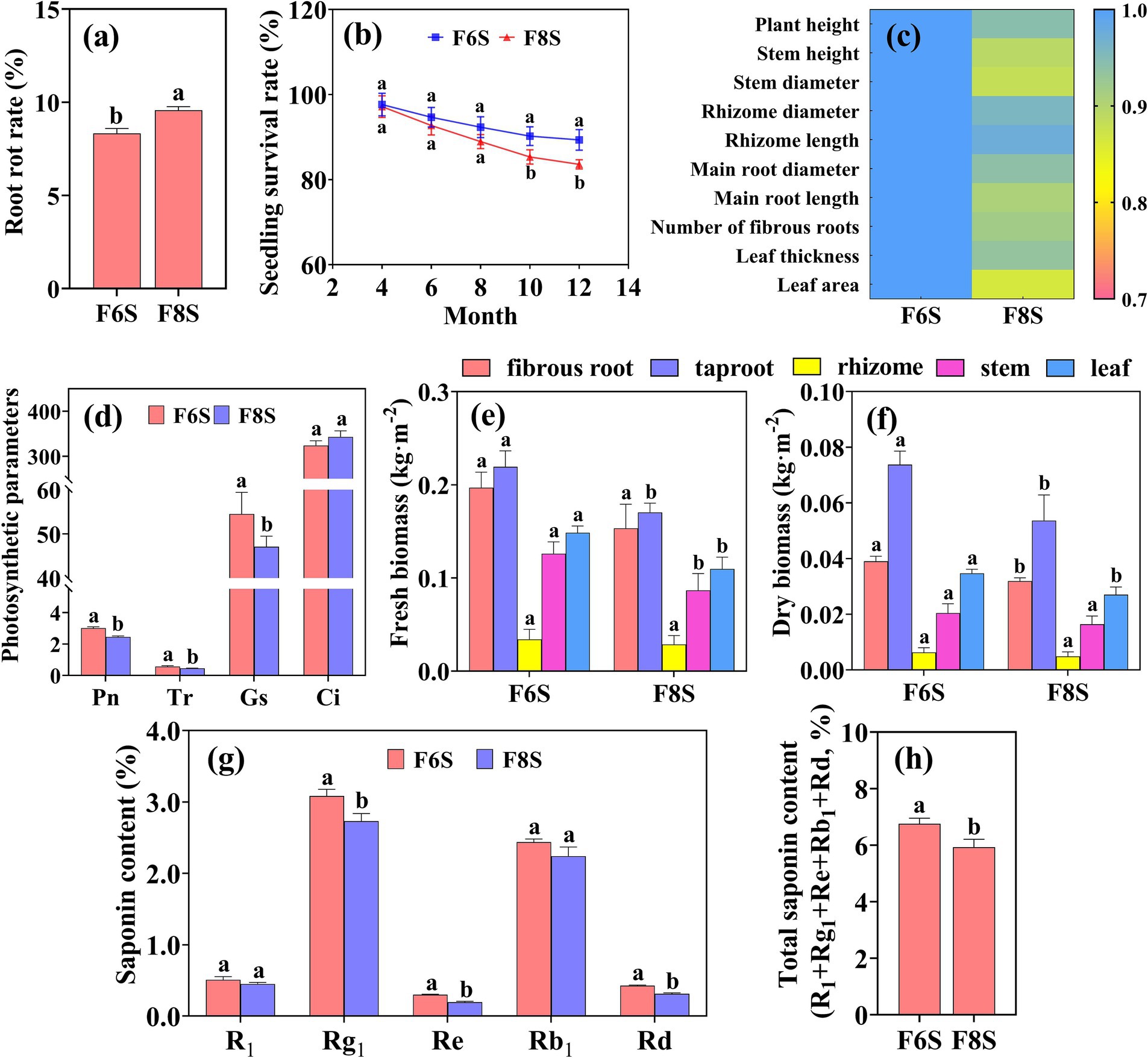 Various graphs compare F6S and F8S treatments in several categories: (a) Root rot rate percentages with F6S slightly lower, (b) Seedling survival rates over months, showing higher rates for F6S, (c) Heatmap of growth traits from plant height to leaf area, (d) Photosynthetic parameters, (e) Fresh biomass distribution, (f) Dry biomass distribution, (g) Saponin content in different forms with F6S generally higher, and (h) Total saponin content, again higher in F6S. Different colors represent plant parts, including fibrous root, taproot, rhizome, stem, and leaf, with distinct significance levels indicated.