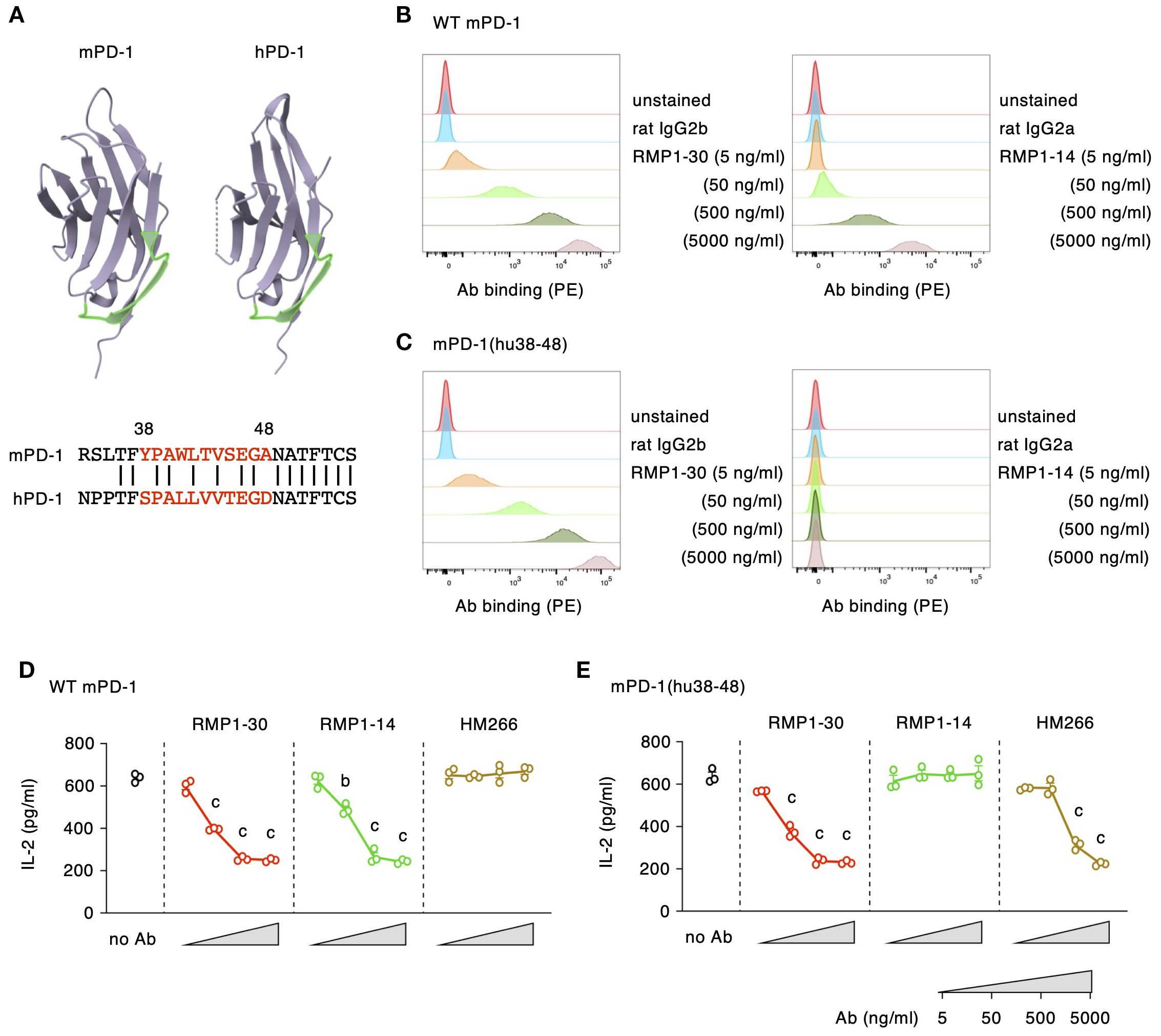 Illustration of PD-1 protein structures, graphs, and sequences. (A) Structural comparison between mPD-1 and hPD-1 with highlighted sequence differences. (B and C) Histograms showing antibody binding at different concentrations for wild-type and modified mPD-1. (D and E) Line graphs indicating IL-2 production in response to antibody treatments at varying concentrations for wild-type and modified mPD-1.