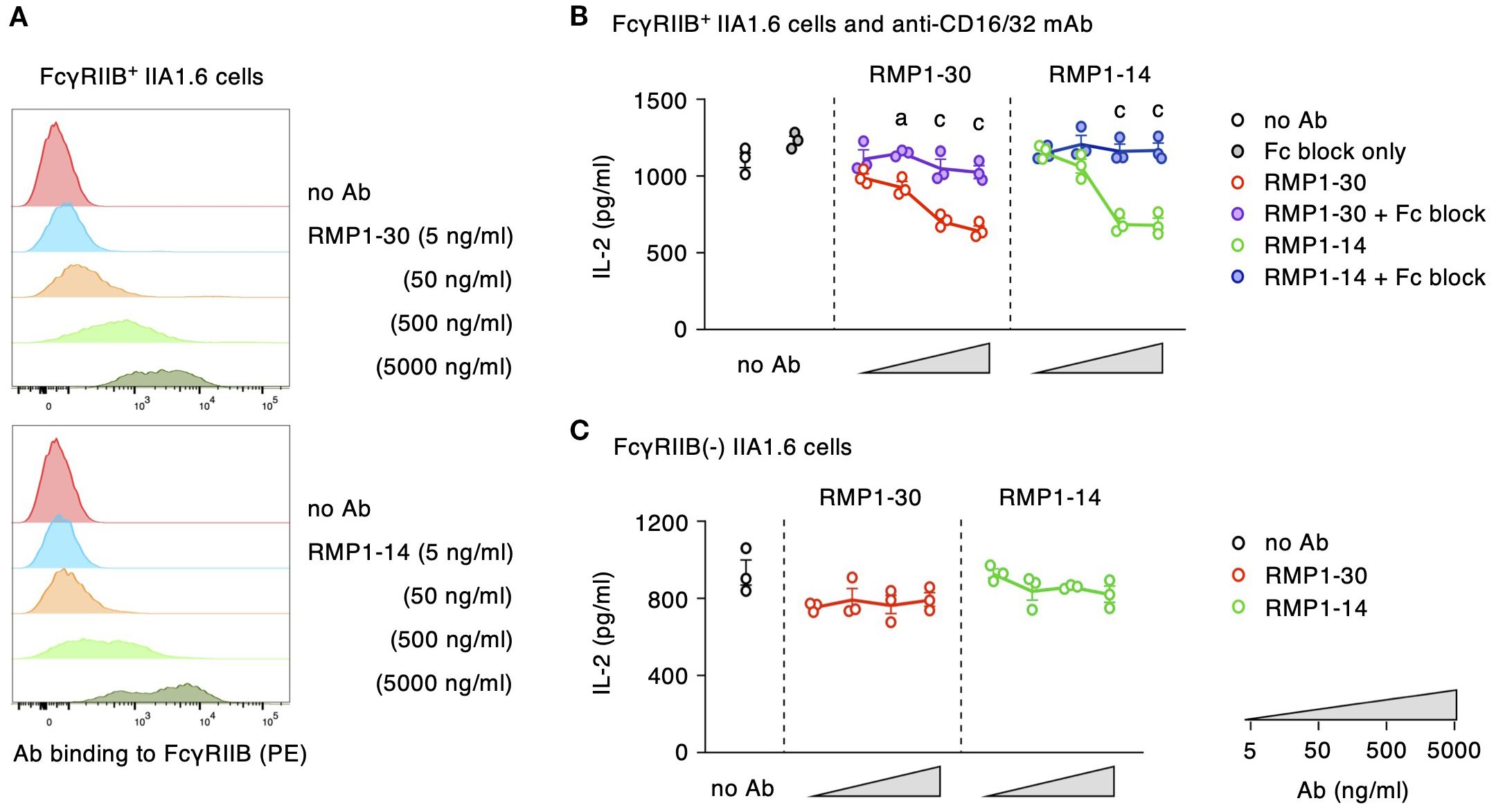 Flow cytometry and IL-2 secretion analysis in IIA1.6 cells. Panel A shows histograms of FcγRIIB binding with RMP1-30 and RMP1-14 antibodies at varying concentrations. Panel B presents IL-2 levels for FcγRIIB⁺ IIA1.6 cells with different antibody treatments, indicating changes with Fc block presence. Panel C depicts IL-2 levels in FcγRIIB⁻ IIA1.6 cells, showing consistent levels across different antibody concentrations.