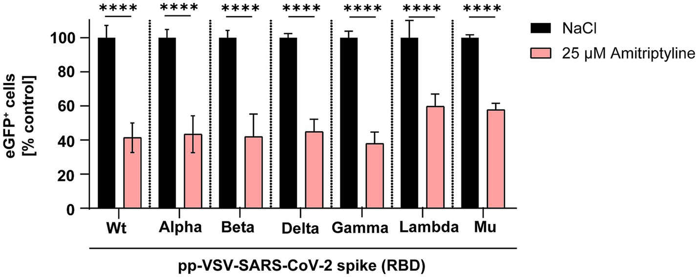 Bar chart showing the percentage of eGFP-positive Vero E6 cells after infection with VSV pseudotyped particles carrying spike proteins from different SARS-CoV-2 variants (Wt, Alpha, Beta, Delta, Gamma, Lambda, Mu). Cells were pre-treated with either 25 µM amitriptyline (light red bars) or NaCl as control (black bars). Across all variants, amitriptyline treatment led to a marked reduction in eGFP expression, indicating decreased viral entry. Asterisks above the bars denote statistical significance (****p < 0.0001) based on one-way ANOVA. The figure highlights the broad antiviral efficacy of amitriptyline against diverse SARS-CoV-2 spike variants.