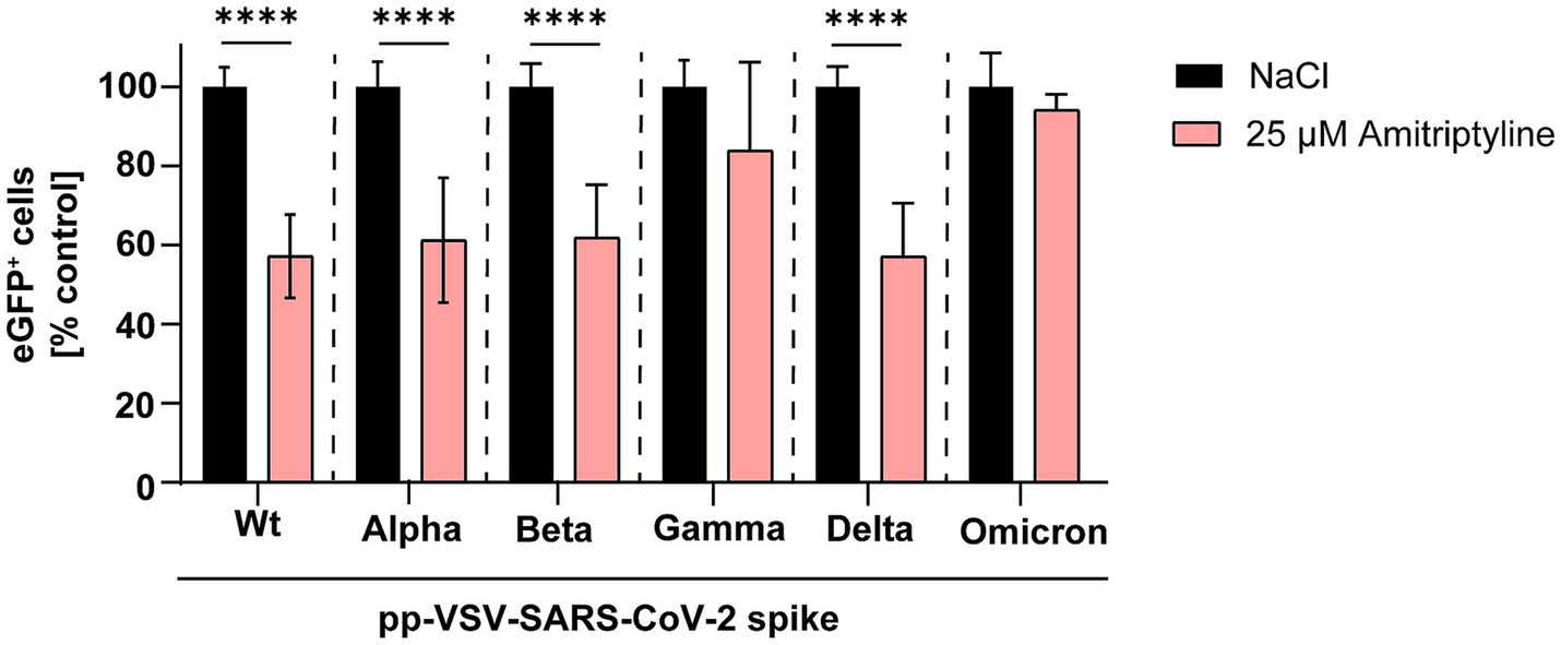 Bar chart showing the effect of NaCl and 25 micrometer Amitriptyline on eGFP-positive cells expressed as a percentage of control across different SARS-CoV-2 spike variants: Wt, Alpha, Beta, Gamma, Delta, and Omicron. Each variant shows decreased eGFP-positive cells with Amitriptyline compared to NaCl. Statistical significance is indicated by asterisks.