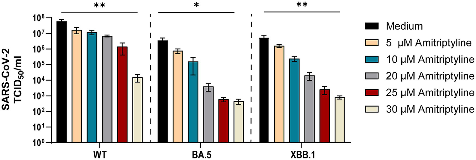 Bar chart showing SARS-CoV-2 TCID50/ml for variants WT, BA.5, and XBB.1 with treatments of varying amitryptyline concentrations. Black bars represent the medium, and colored bars represent different concentrations: 5, 10, 20, 25, and 30 micromolar. Significant differences indicated by asterisks.