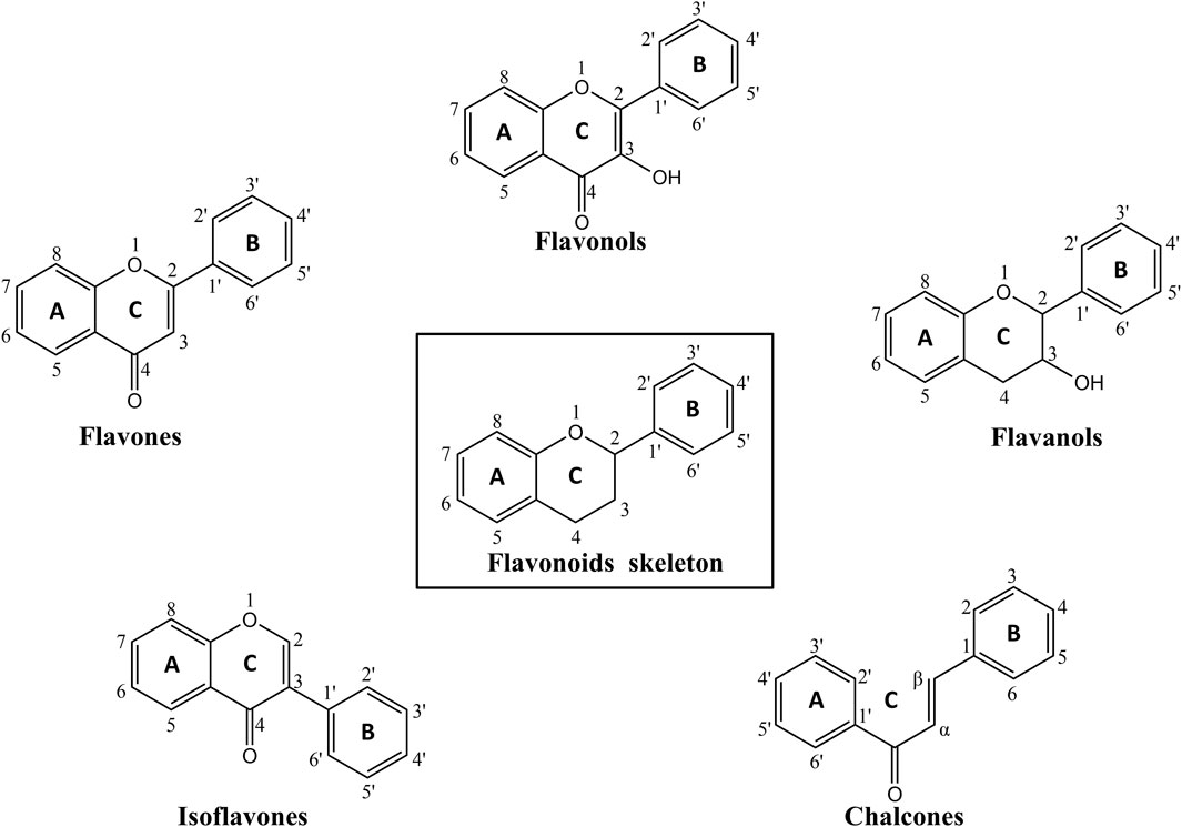 Diagram showing chemical structures of various types of flavonoids. The central image is the flavonoid skeleton composed of three rings labeled A, B, and C. Surrounding this are five types: flavones, flavonols, flavanols, isoflavones, and chalcones, each highlighting different ring structures and bonds. Each structure features labeled carbon positions for reference.