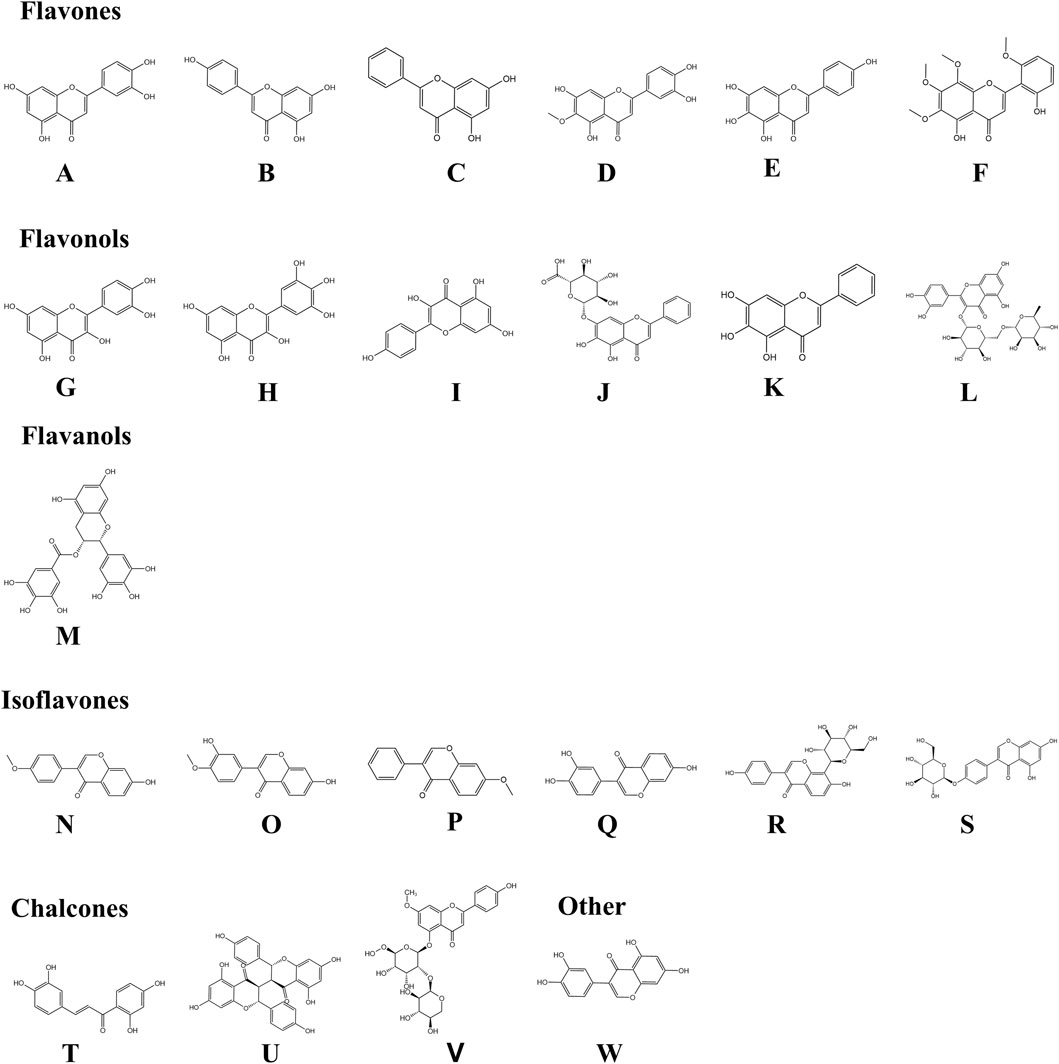 Chemical structures of various flavonoids and related compounds are shown, categorized into flavones (A-F), flavonols (G-L), a flavanol (M), isoflavones (N-S), chalcones (T-V), and other (W). Each structure is labeled with letters A to W, depicting different molecular arrangements.
