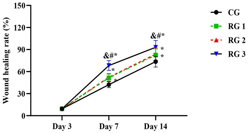 Line graph comparing wound healing rates over 14 days for four groups: CG (black circles), RG 1 (green squares), RG 2 (red triangles), and RG 3 (blue inverted triangles). Healing rates increase for all groups, with RG 3 showing the highest rate by day 14. Statistical significance is indicated by symbols: an asterisk for shorter time intervals, and more symbols for longer intervals.