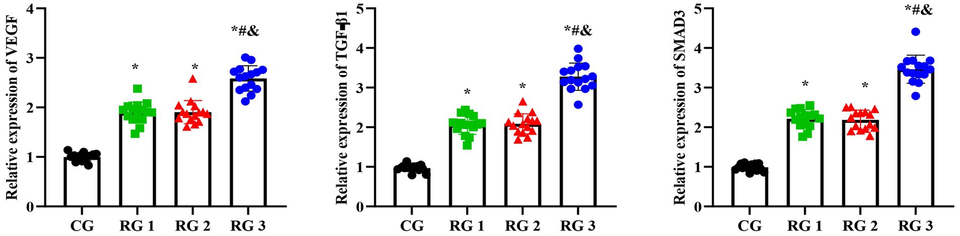 Bar charts showing the relative expression of VEGF, TGFβ1, and SMAD3. Four groups are compared: CG, RG 1, RG 2, and RG 3. VEGF shows increasing expression from CG to RG 3, with RG 3 having the highest and statistically significant increase. TGFβ1 expression is highest in RG 3, followed by RG 2 and RG 1. SMAD3 expression also peaks in RG 3. Statistical significance is indicated with symbols above the bars.