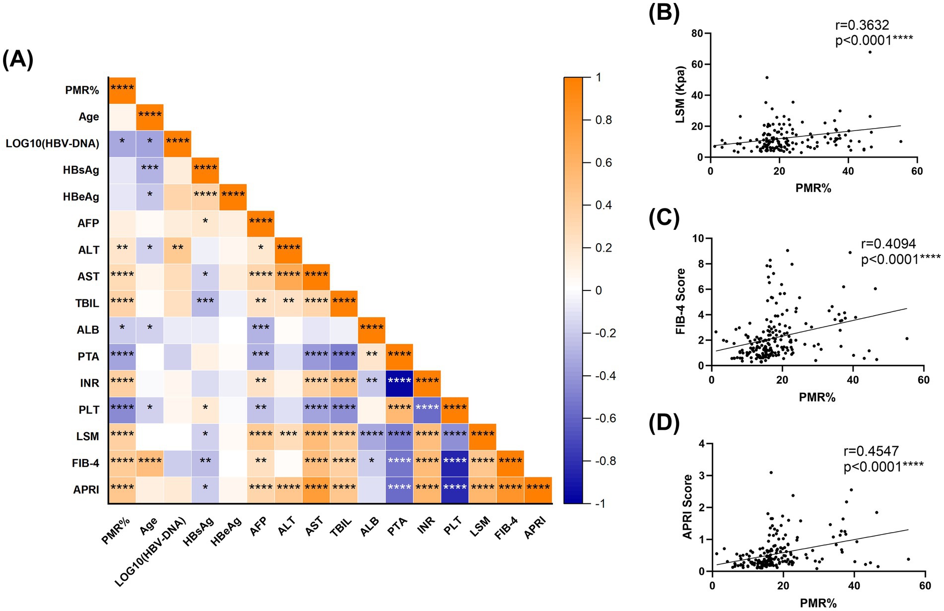 Heatmap (A) shows correlations among various clinical parameters such as PMR%, age, and ALT with a color scale from -1 (blue) to 1 (orange). Scatter plots (B-D) display relationships between PMR% and LSM (B), FIB-4 score (C), and APRI score (D), with correlation coefficients and p-values indicating significance.