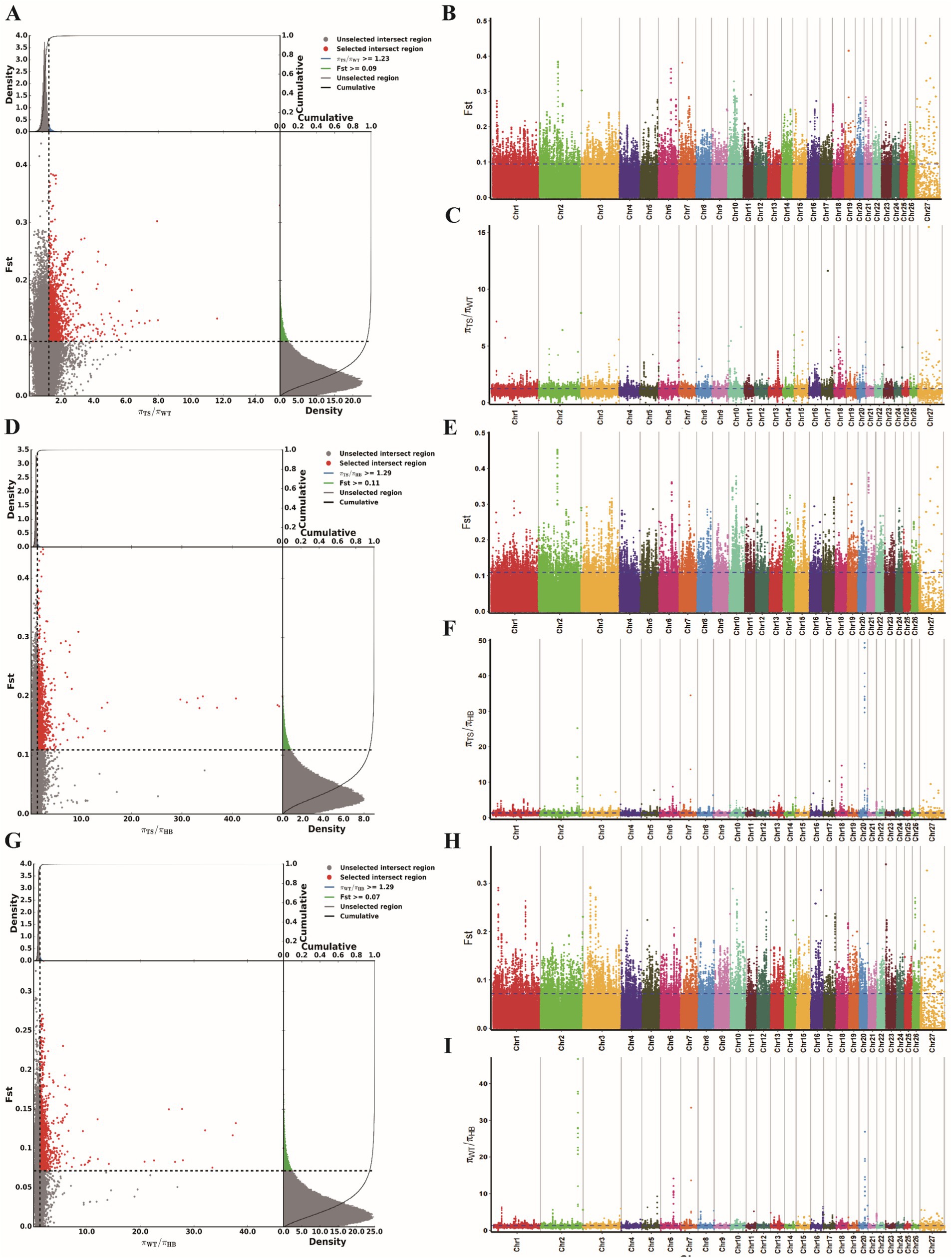 Three sets of charts labeled A to I. Charts A, D, G show FST versus density plots with highlighted selected regions. Charts B, E, H show genome-wide FST distributions by chromosome with color-coded data points. Charts C, F, I display π ratios across chromosomes, also color-coded. Each chart set (A-C, D-F, G-I) varies slightly in scales and highlighted regions, illustrating genetic differentiation and diversity metrics.