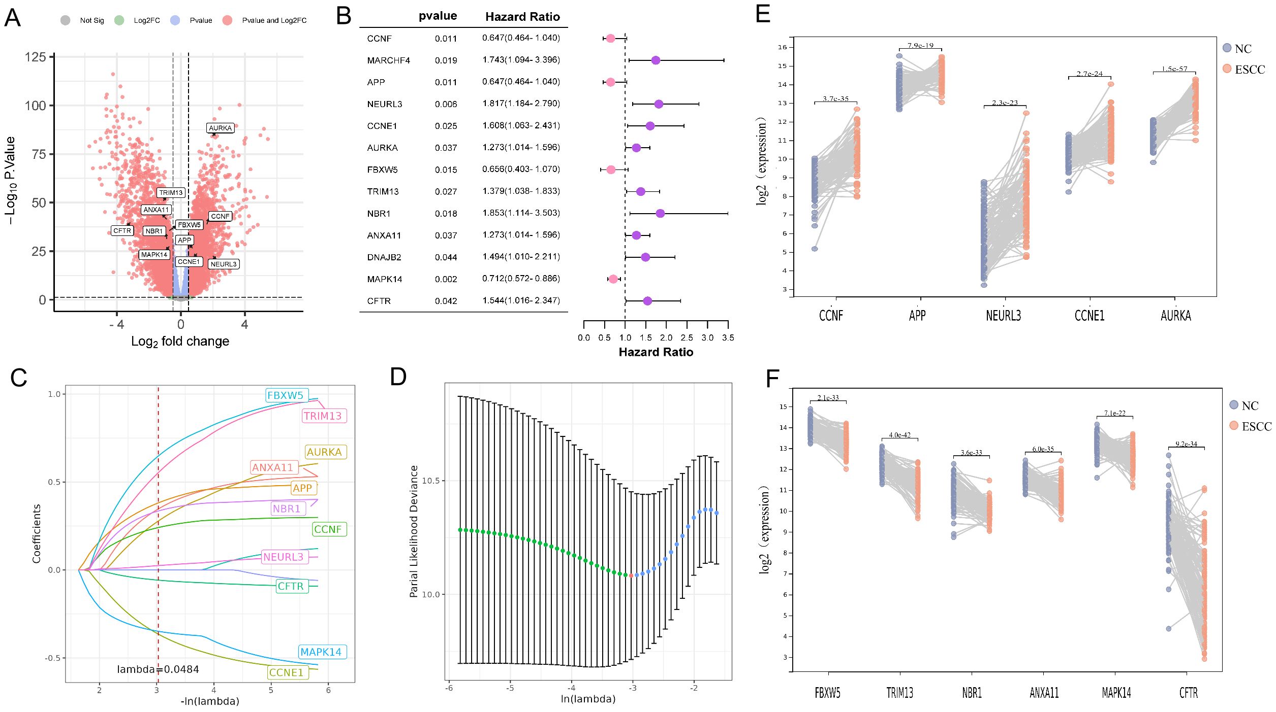 Panel A shows a volcano plot with gene expression changes, highlighting significant genes. Panel B presents a forest plot of hazard ratios and p-values for various genes. Panel C displays LASSO coefficient paths for selected genes. Panel D is a plot of partial likelihood deviance against log lambda for model tuning. Panels E and F are dot plots comparing log2 expression levels of specific genes between normal control (NC) and esophageal squamous cell carcinoma (ESCC) groups, with statistical significance indicated.