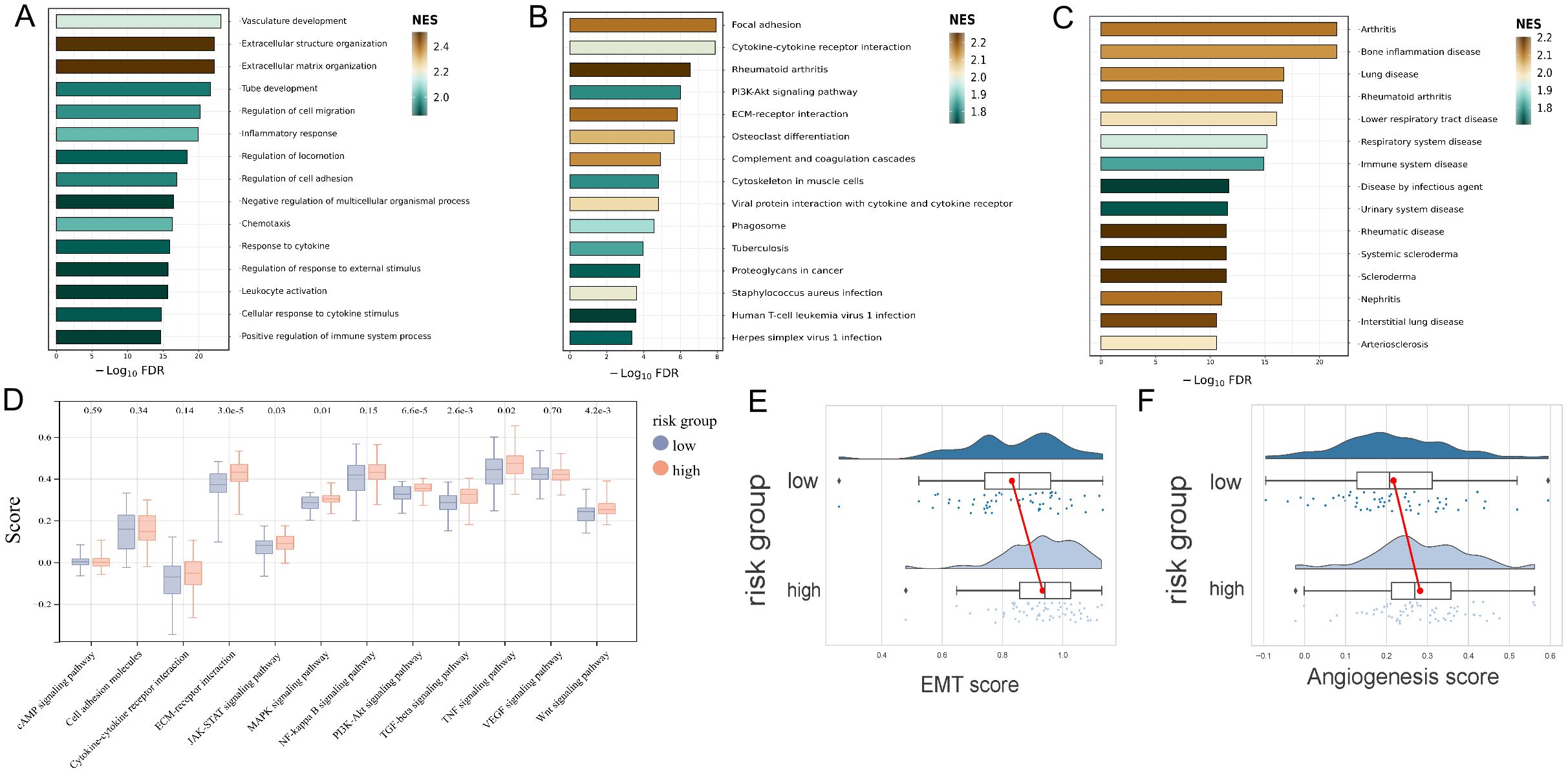 Bar charts and box plots comparing various biological processes and risk groups. Panels A, B, and C display rankings of processes and diseases by normalized enrichment score (NES) and false discovery rate (FDR). Panel D shows box plots for signaling pathways scored by risk groups. Panels E and F are box plots comparing low and high-risk groups for EMT and angiogenesis scores, respectively, with statistical indicators.